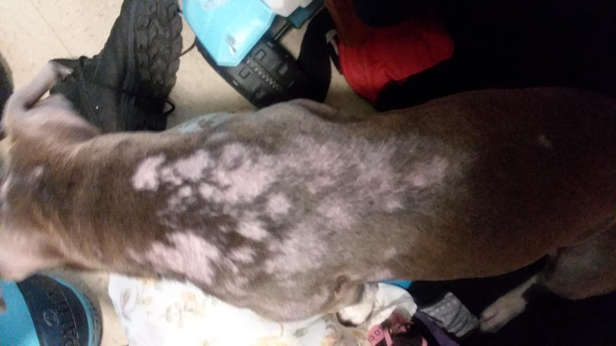 Question details sensitive content