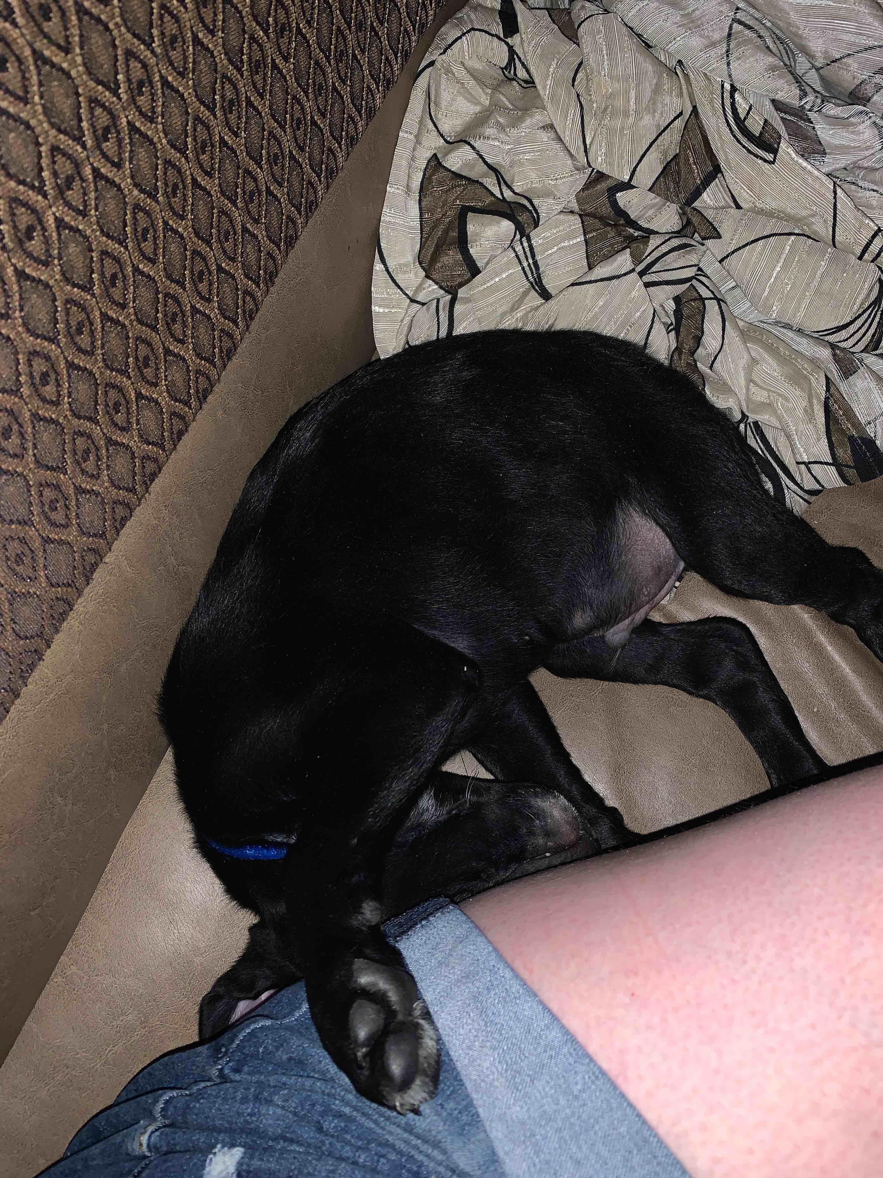 Question details sensitive content