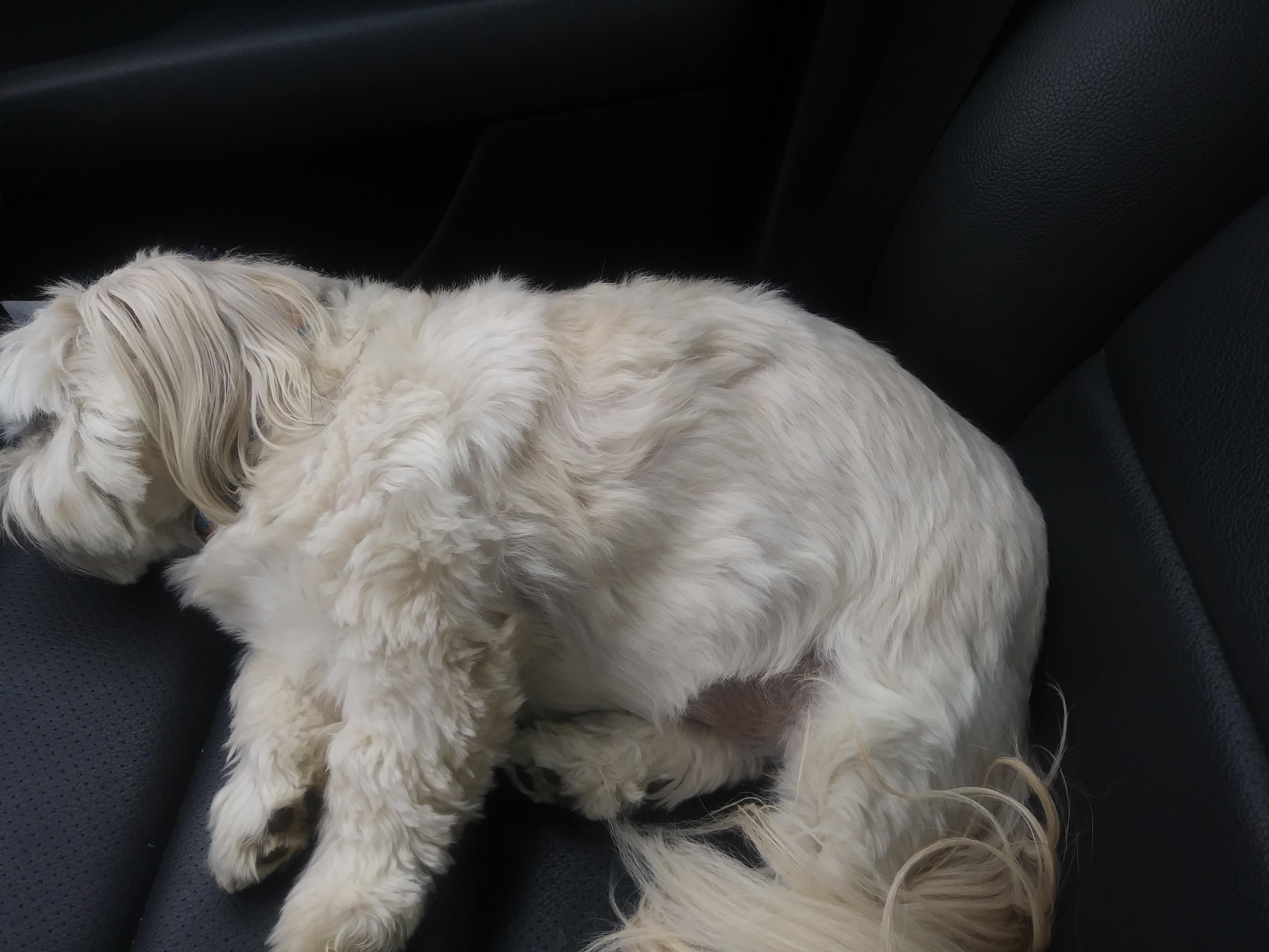 Question details sensitive content