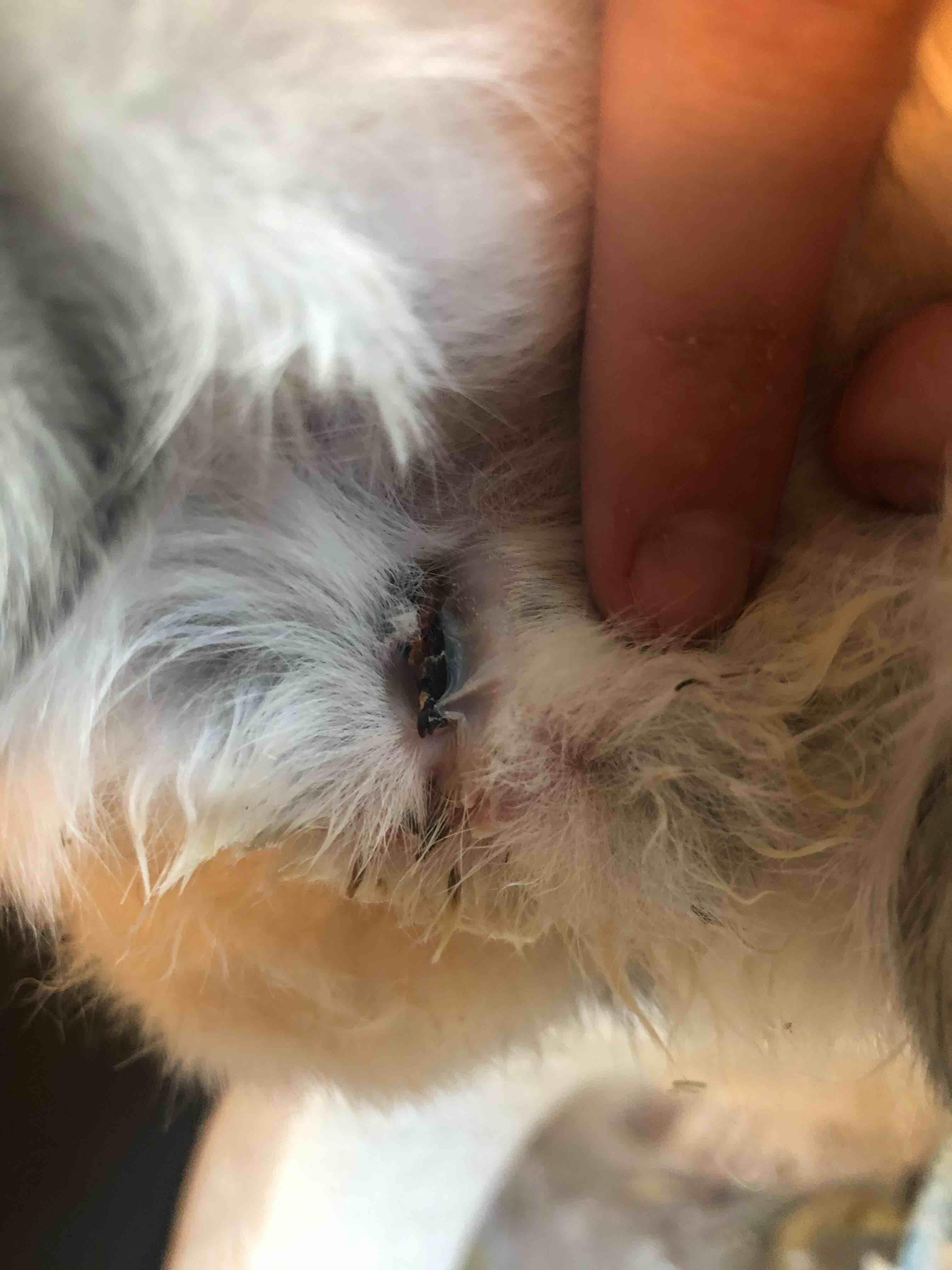 Question details sensitive content