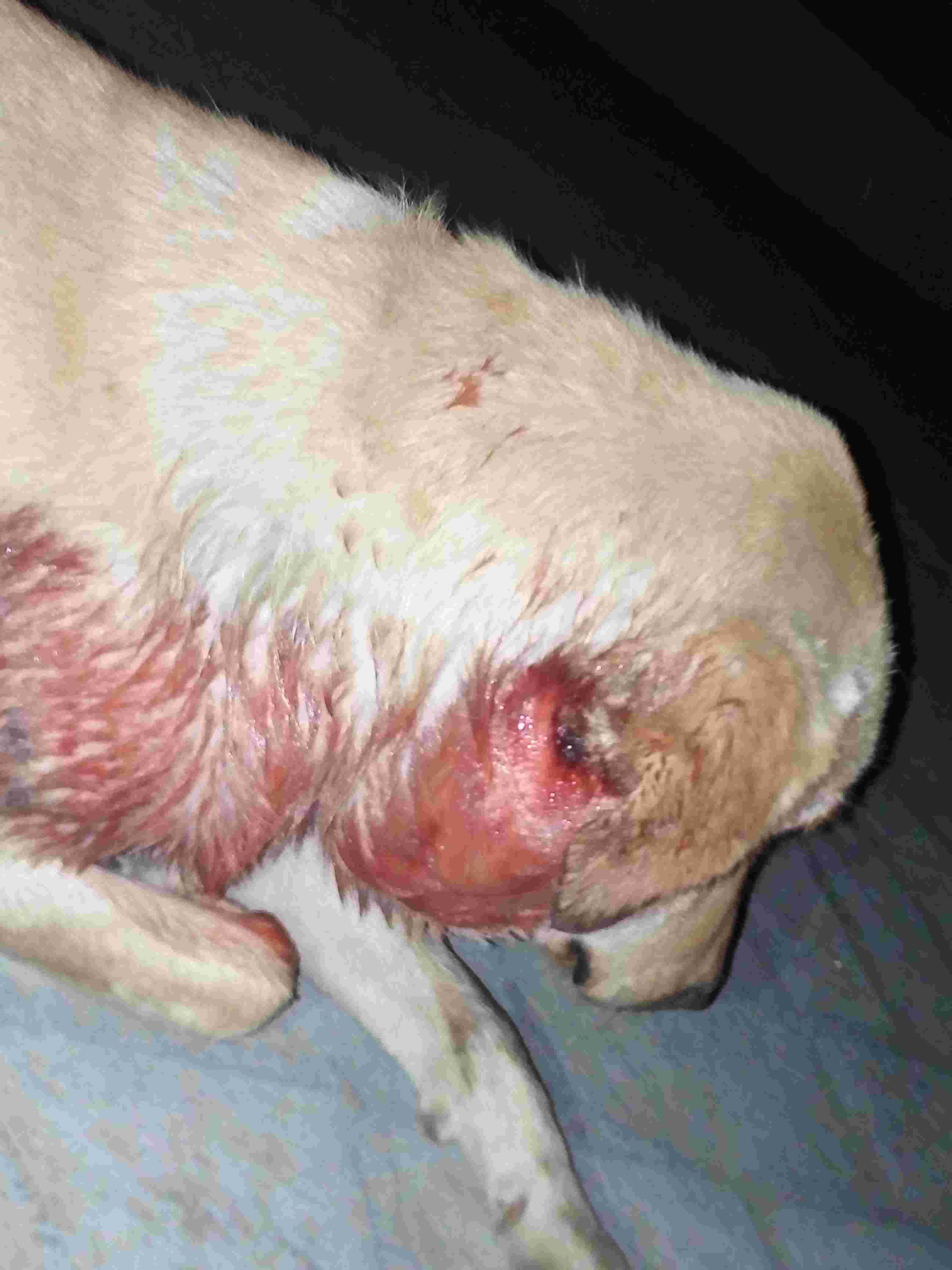 Question details sensitive content