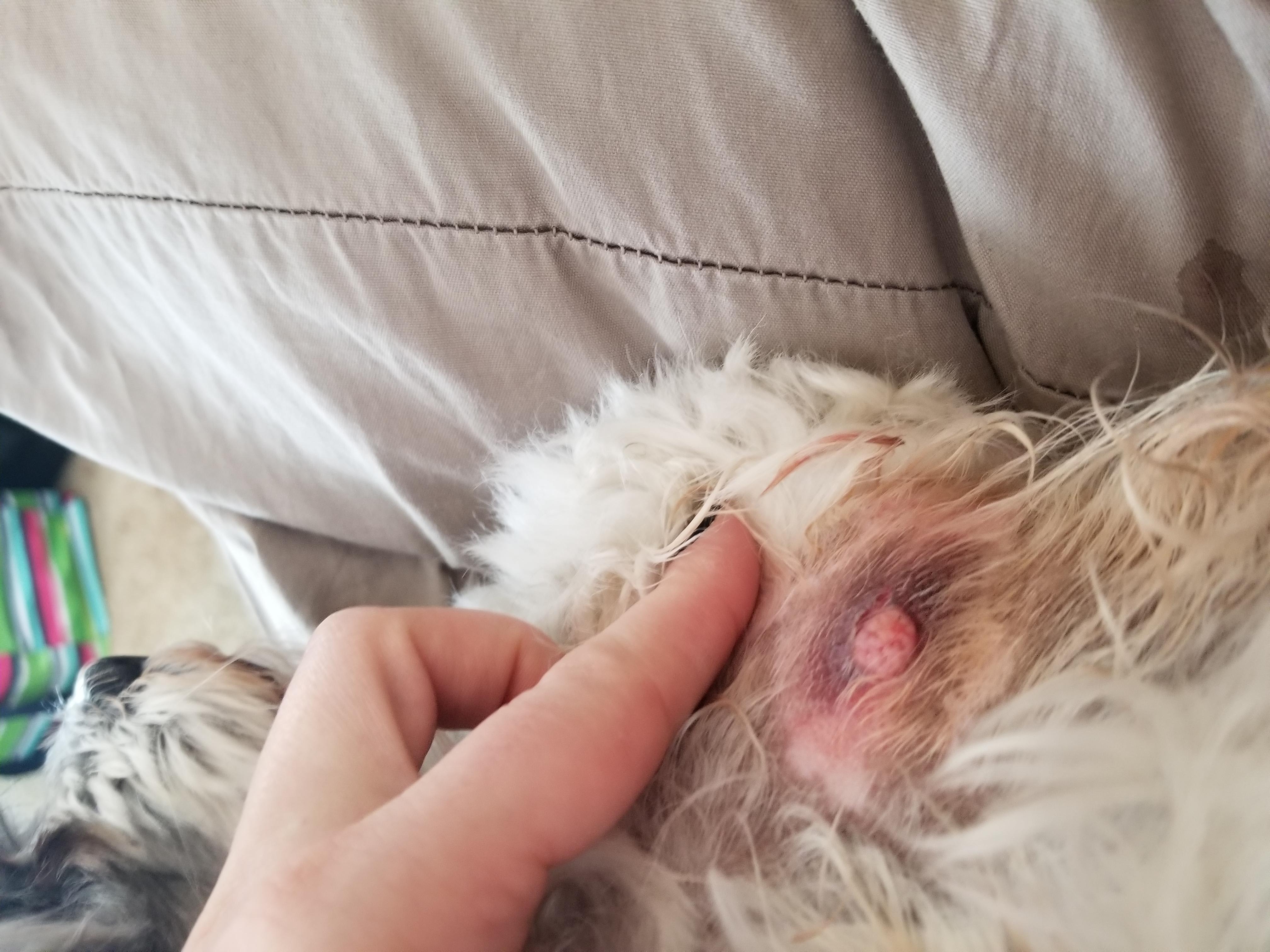 Question details sensitive content