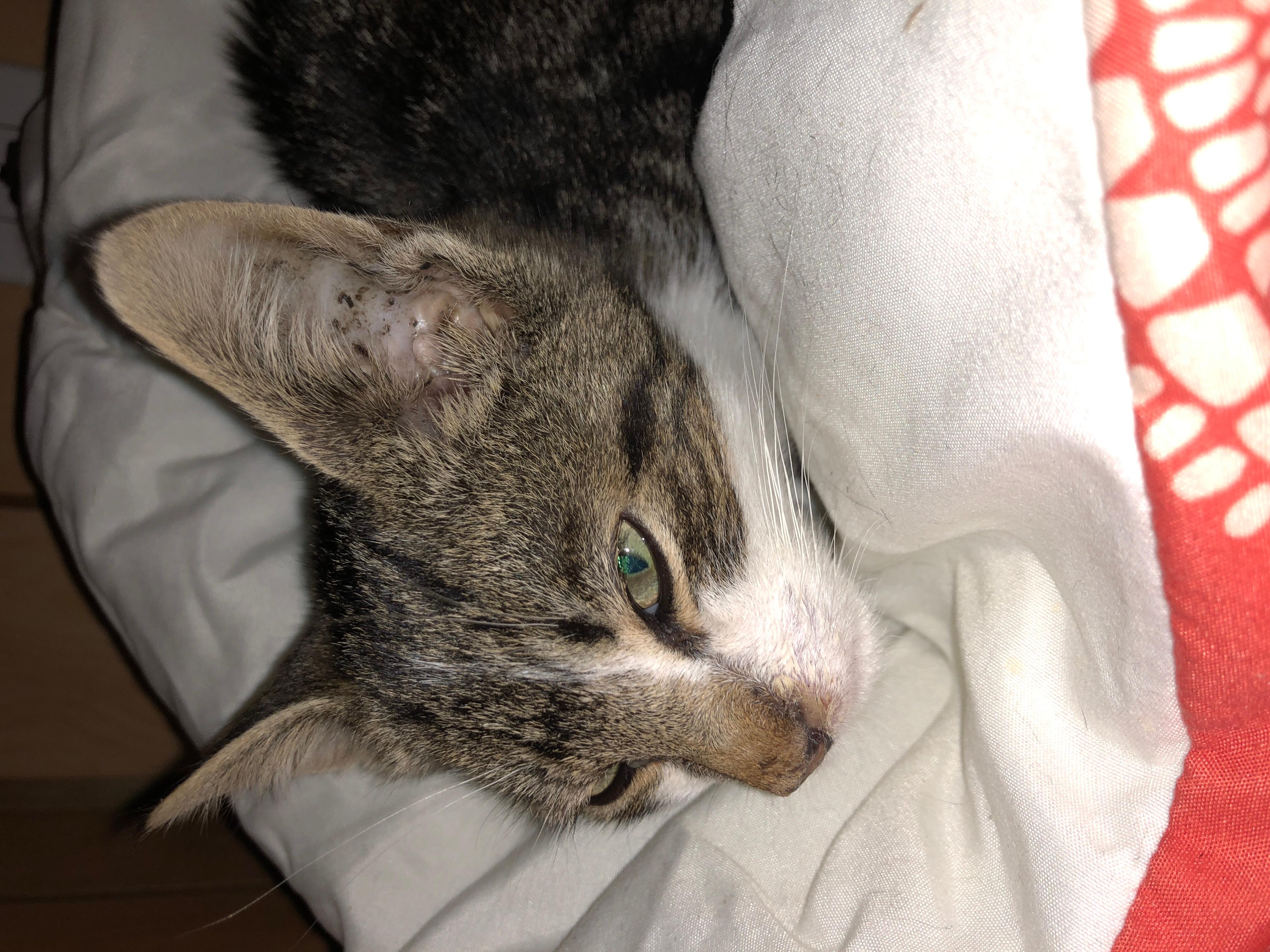 Question details sensitive content