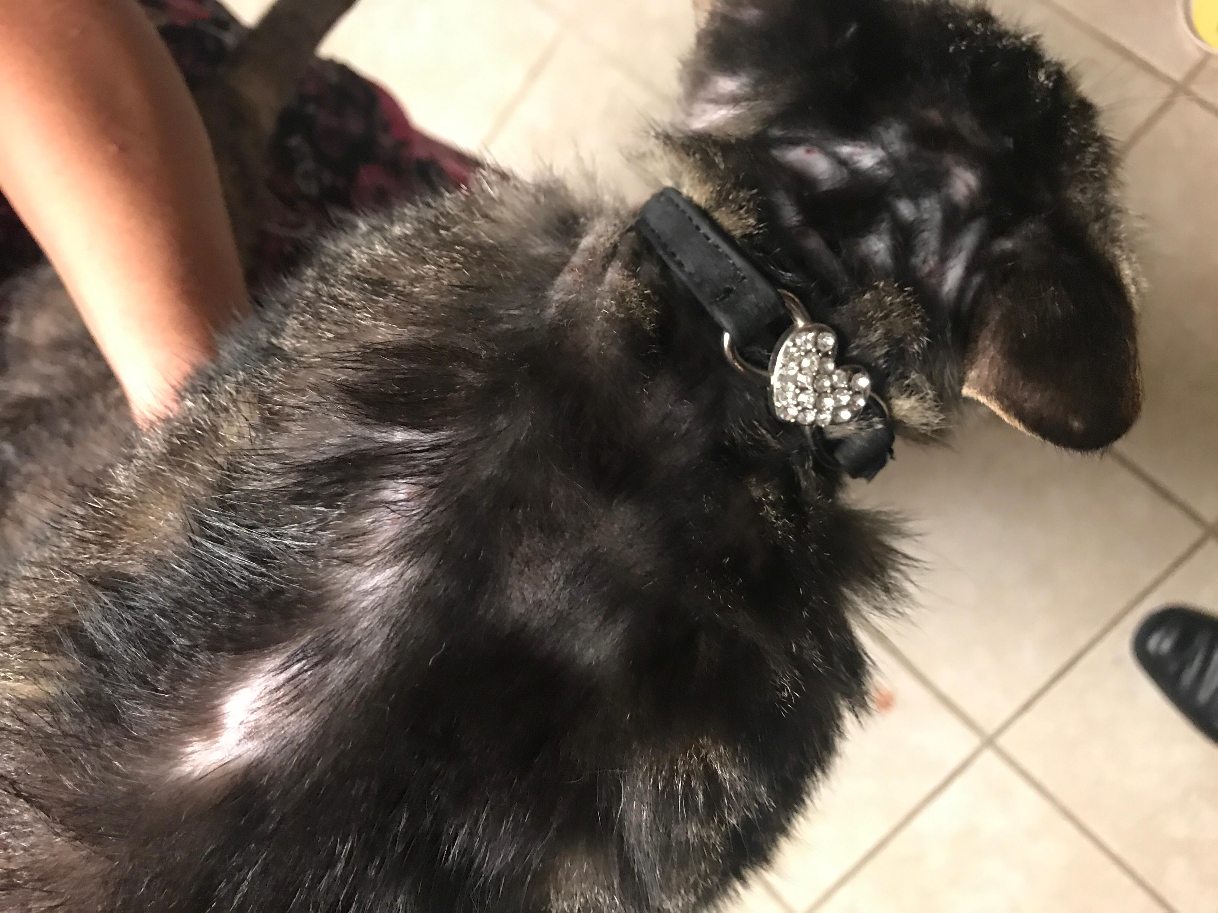 Question details sensitive content