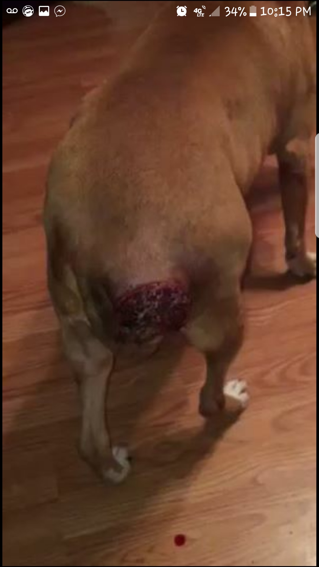 Question details sensitive content