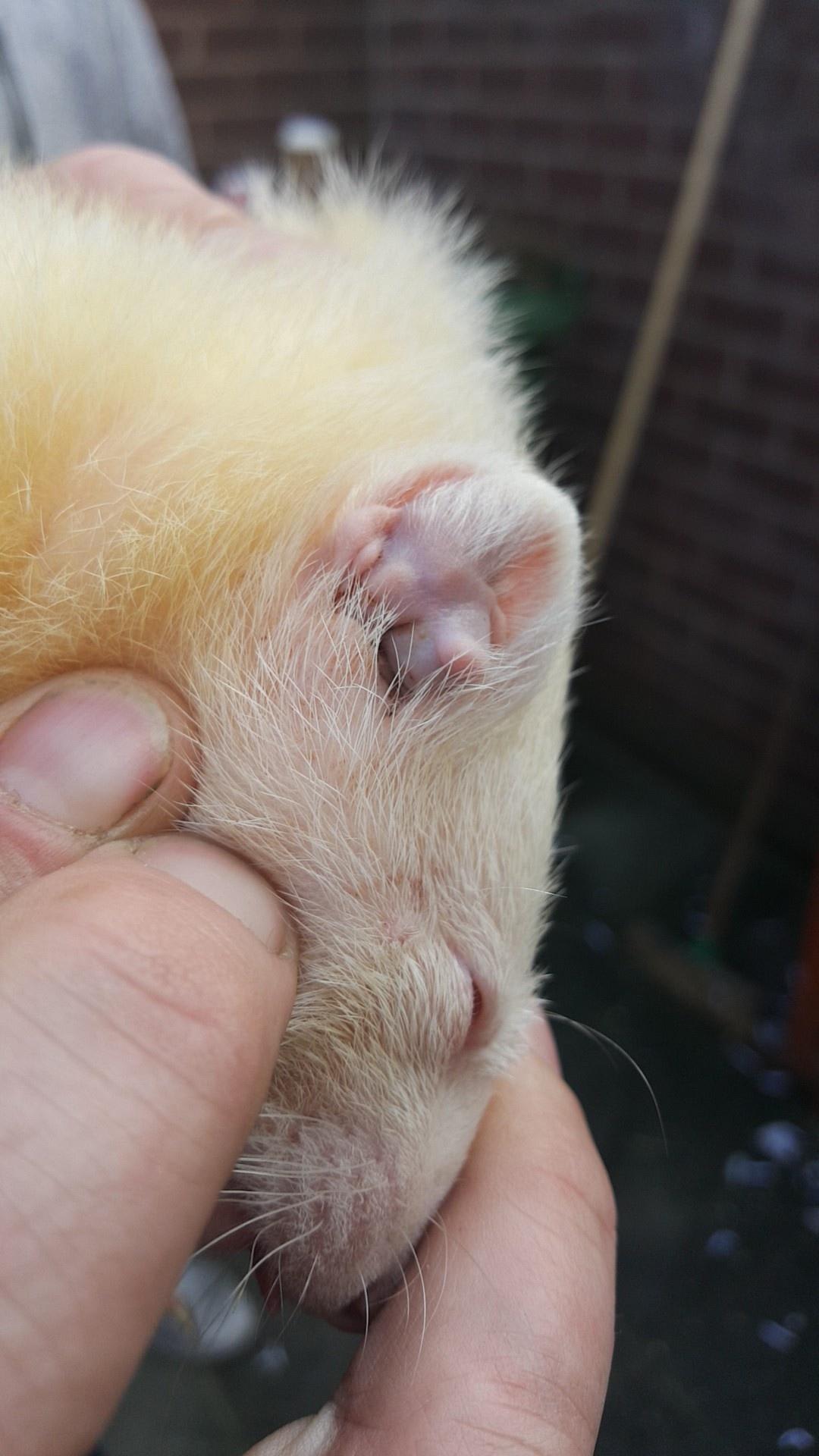 Question details sensitive content