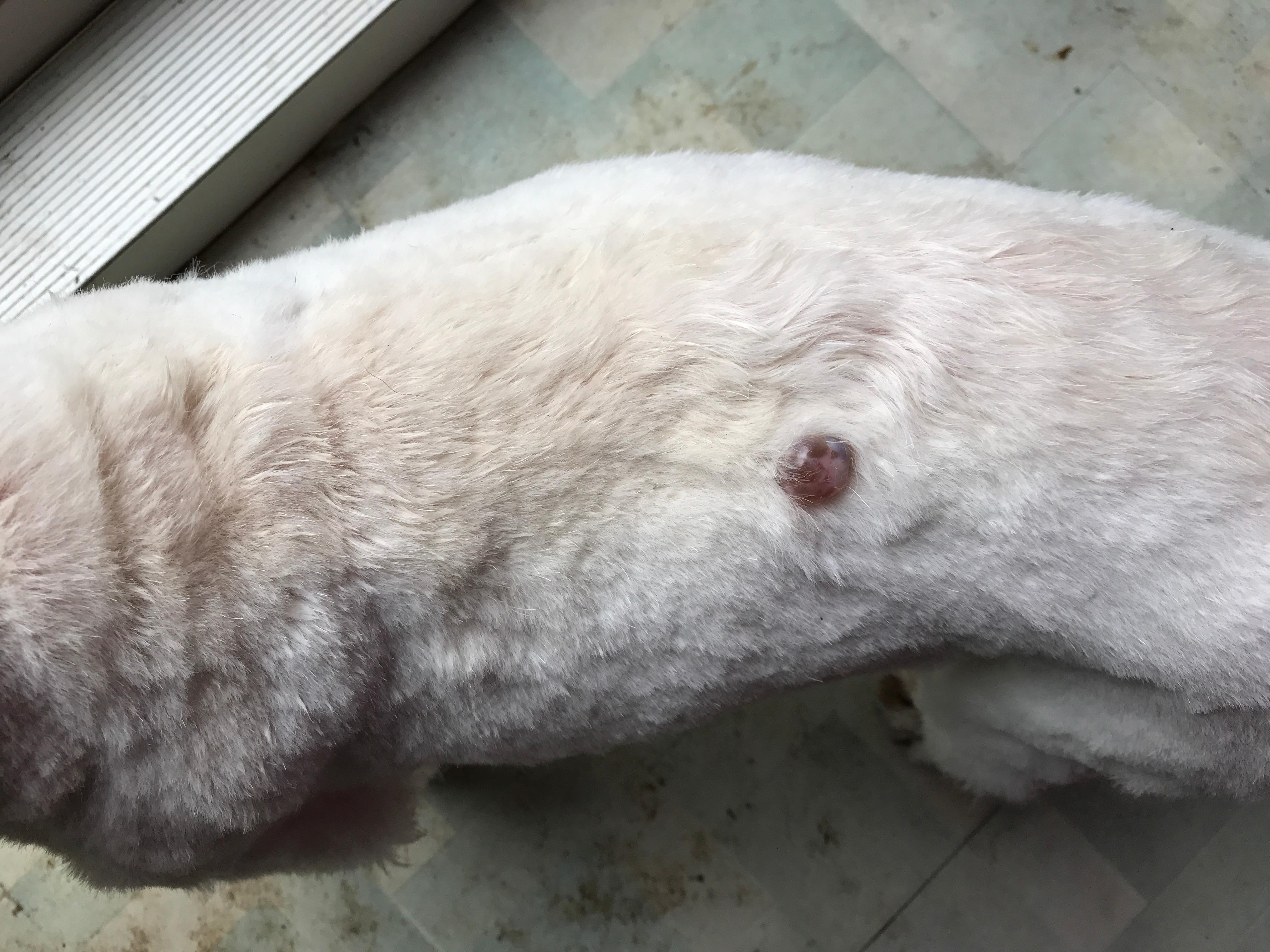 Question details sensitive content