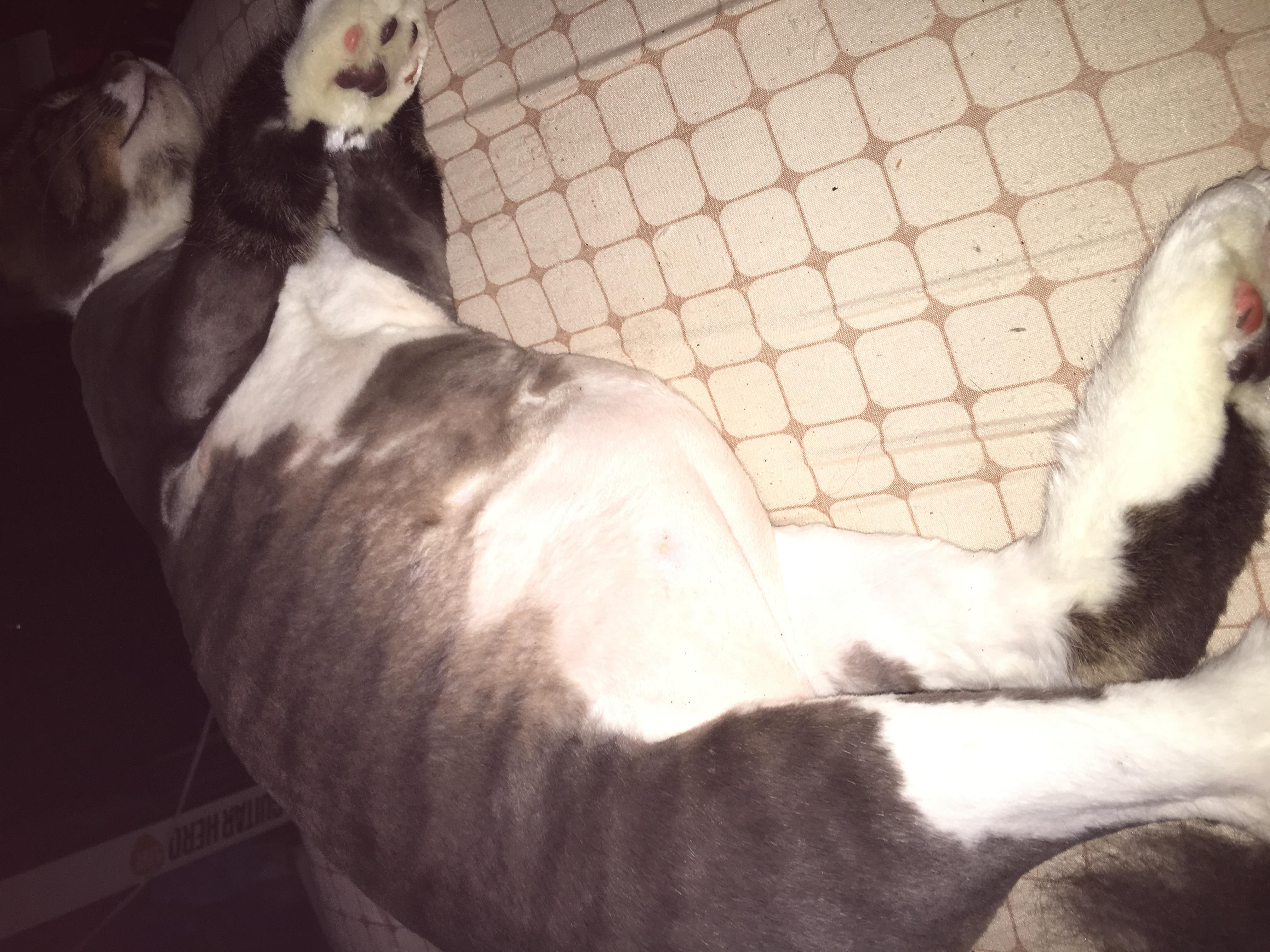 Question details sensitive content