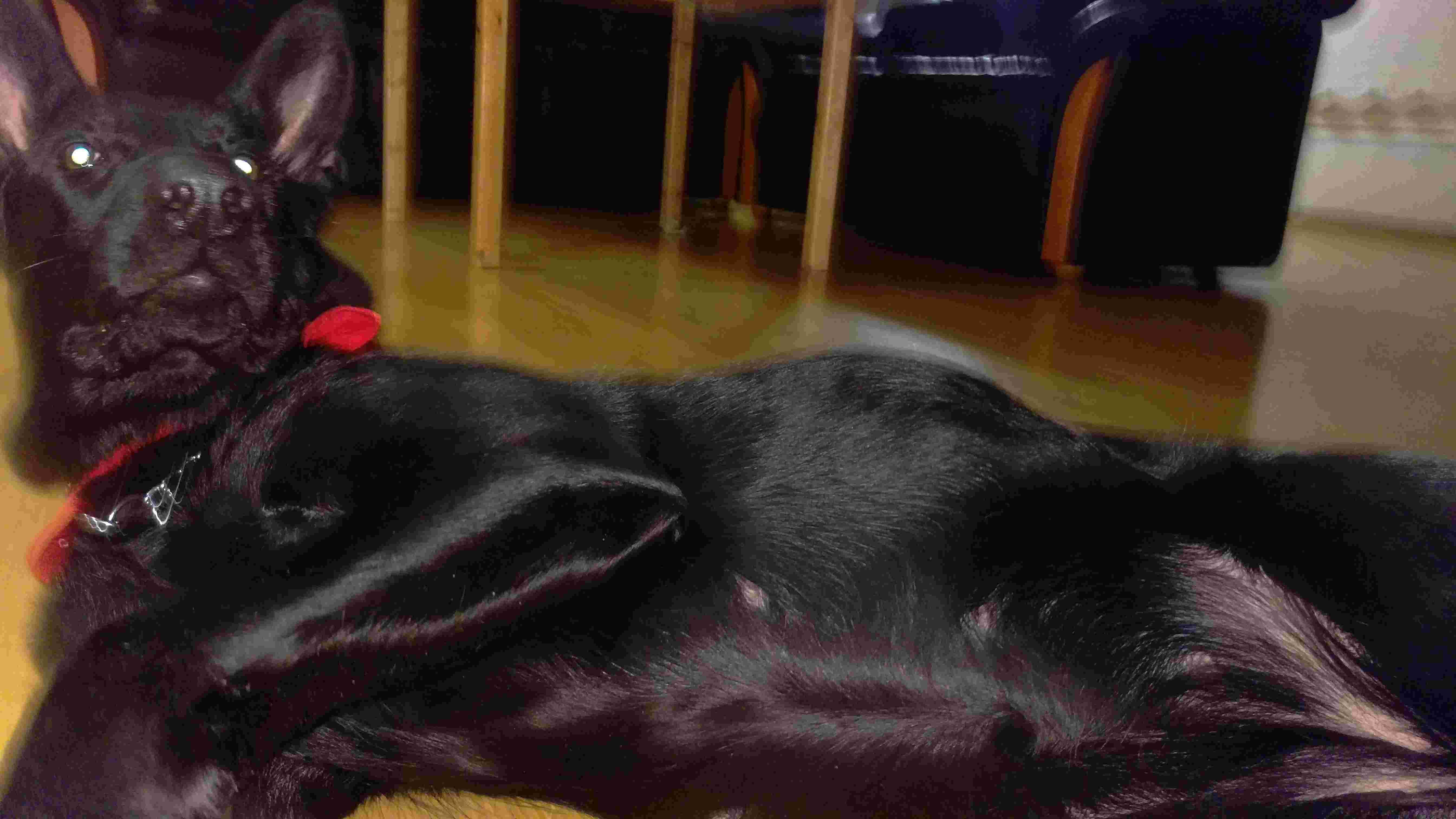 Question details sensitive content