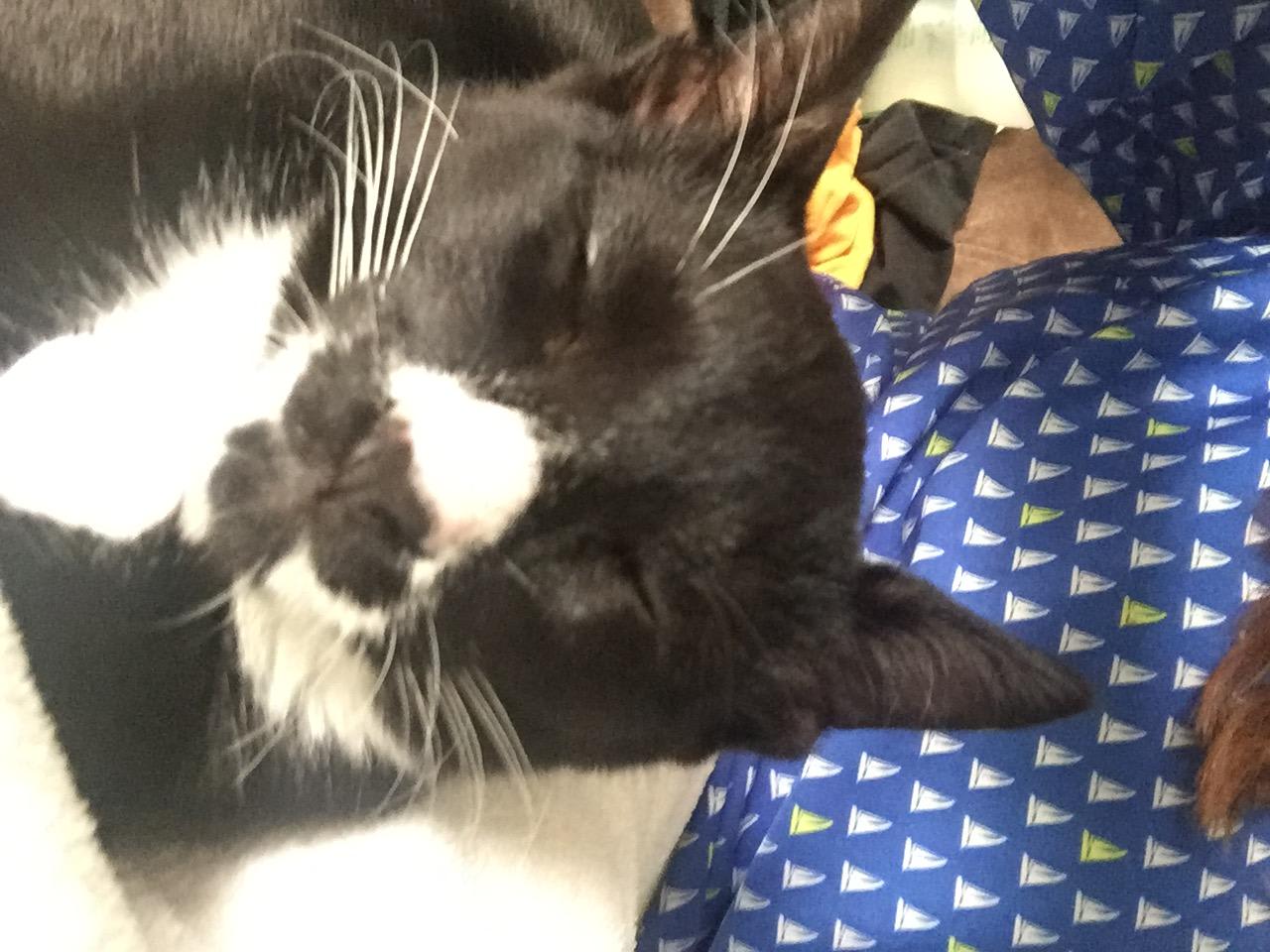 Question details sensitive content