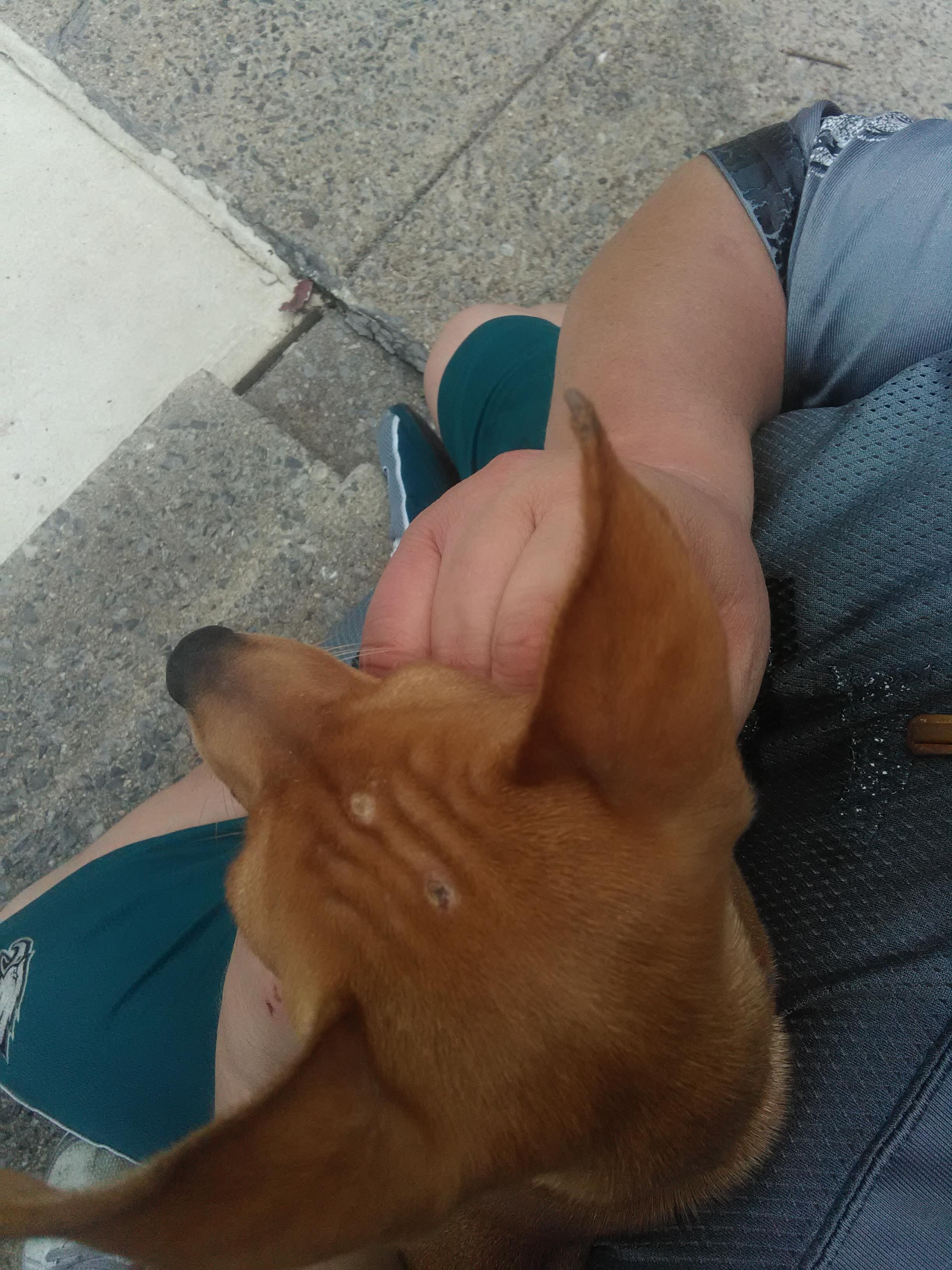 Question details sensitive content