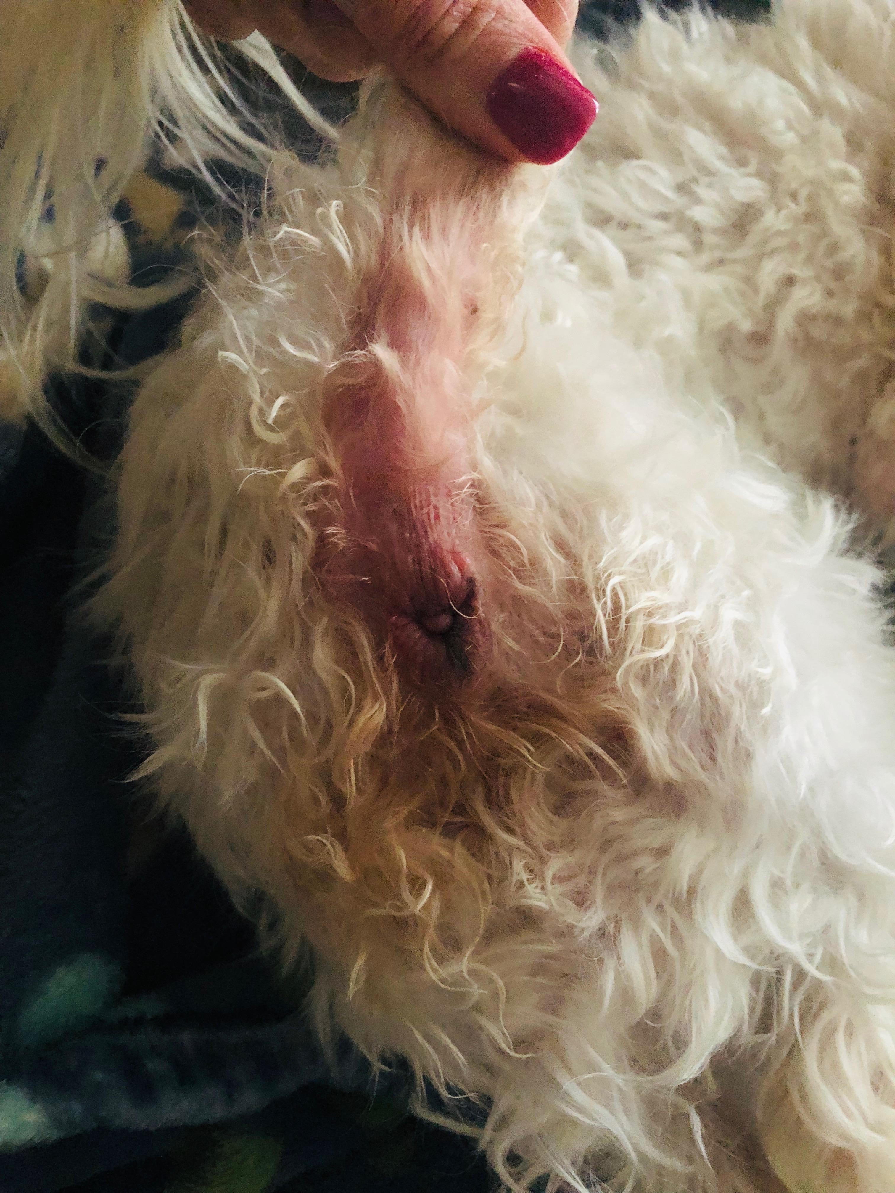 Question details sensitive content