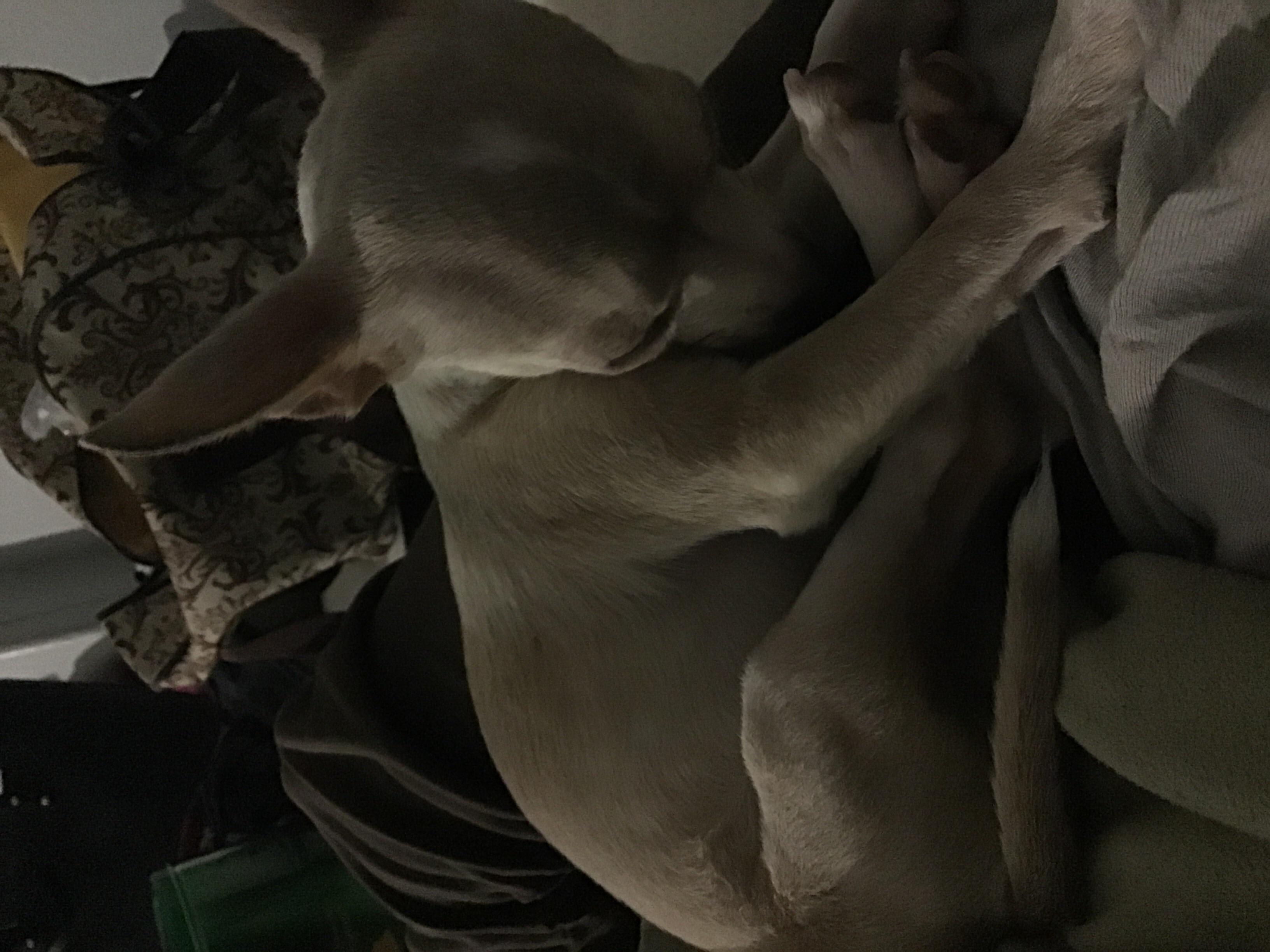 Question details sensitive content