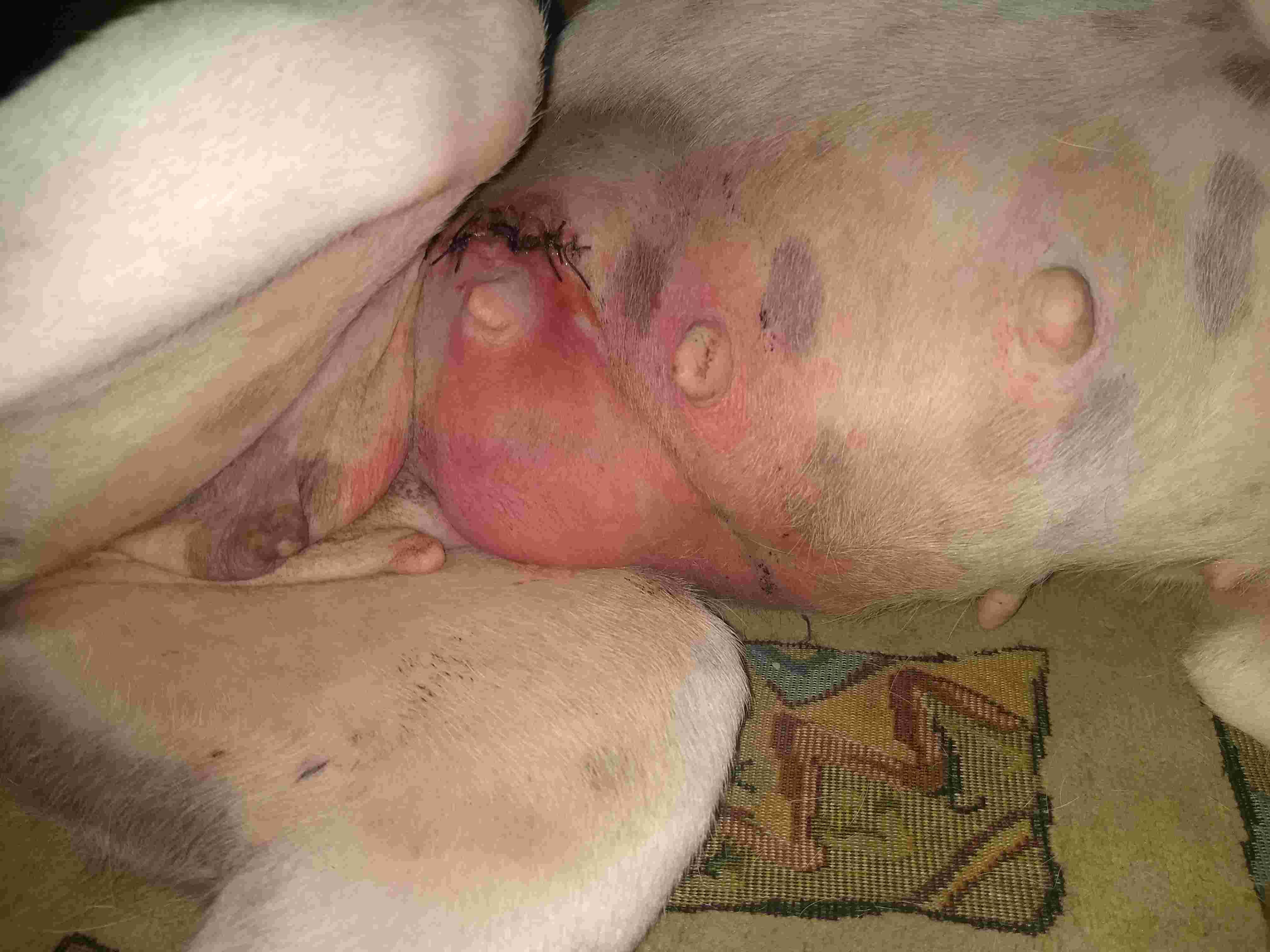 Question details sensitive content