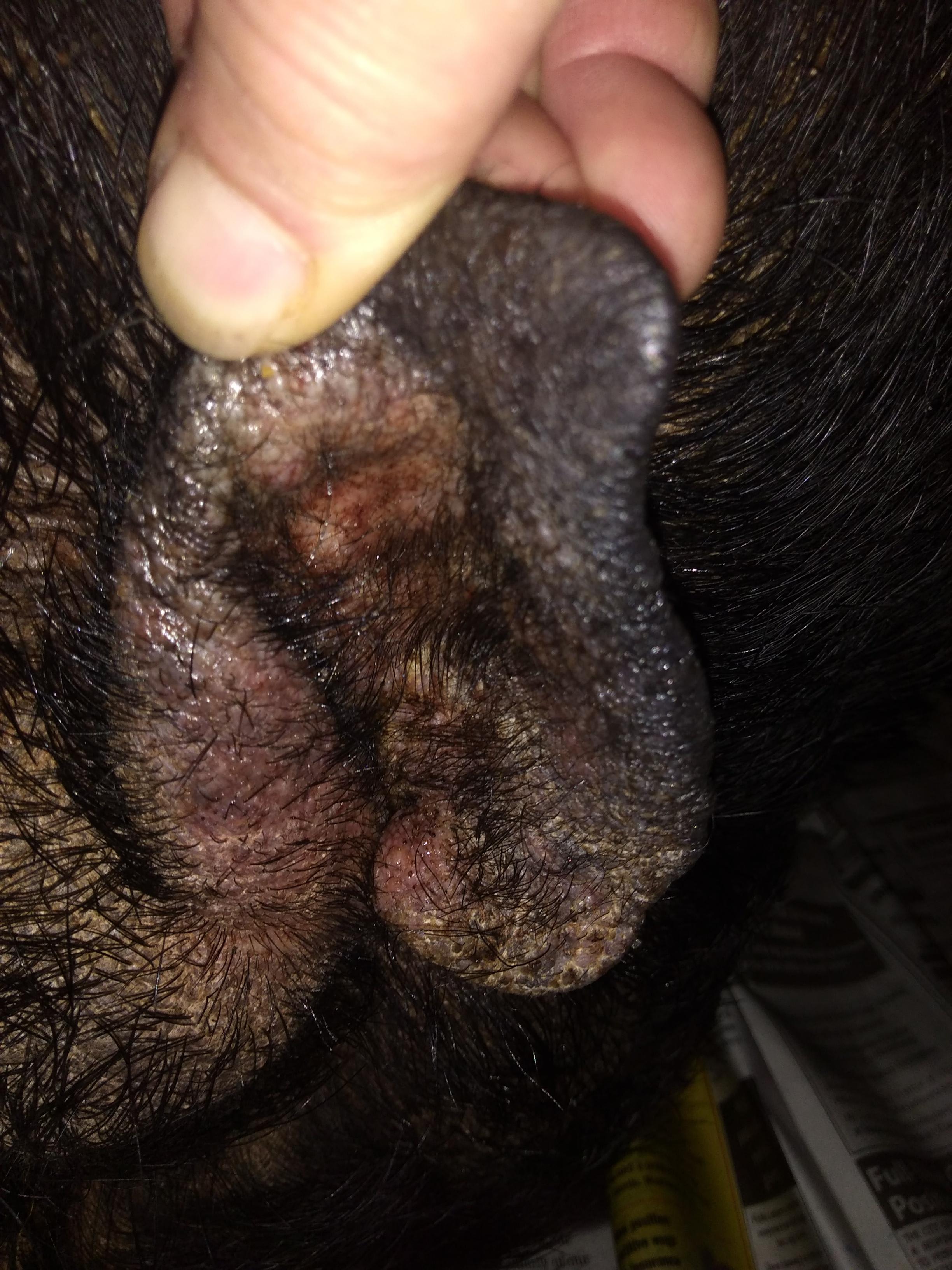 Question details sensitive content