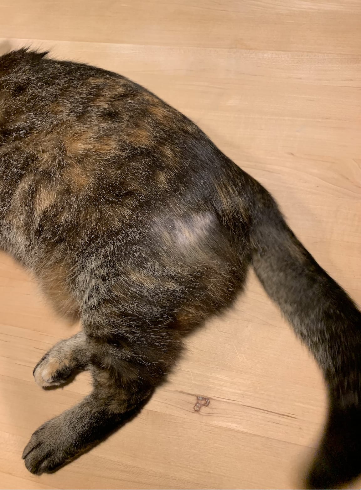 Question details sensitive content