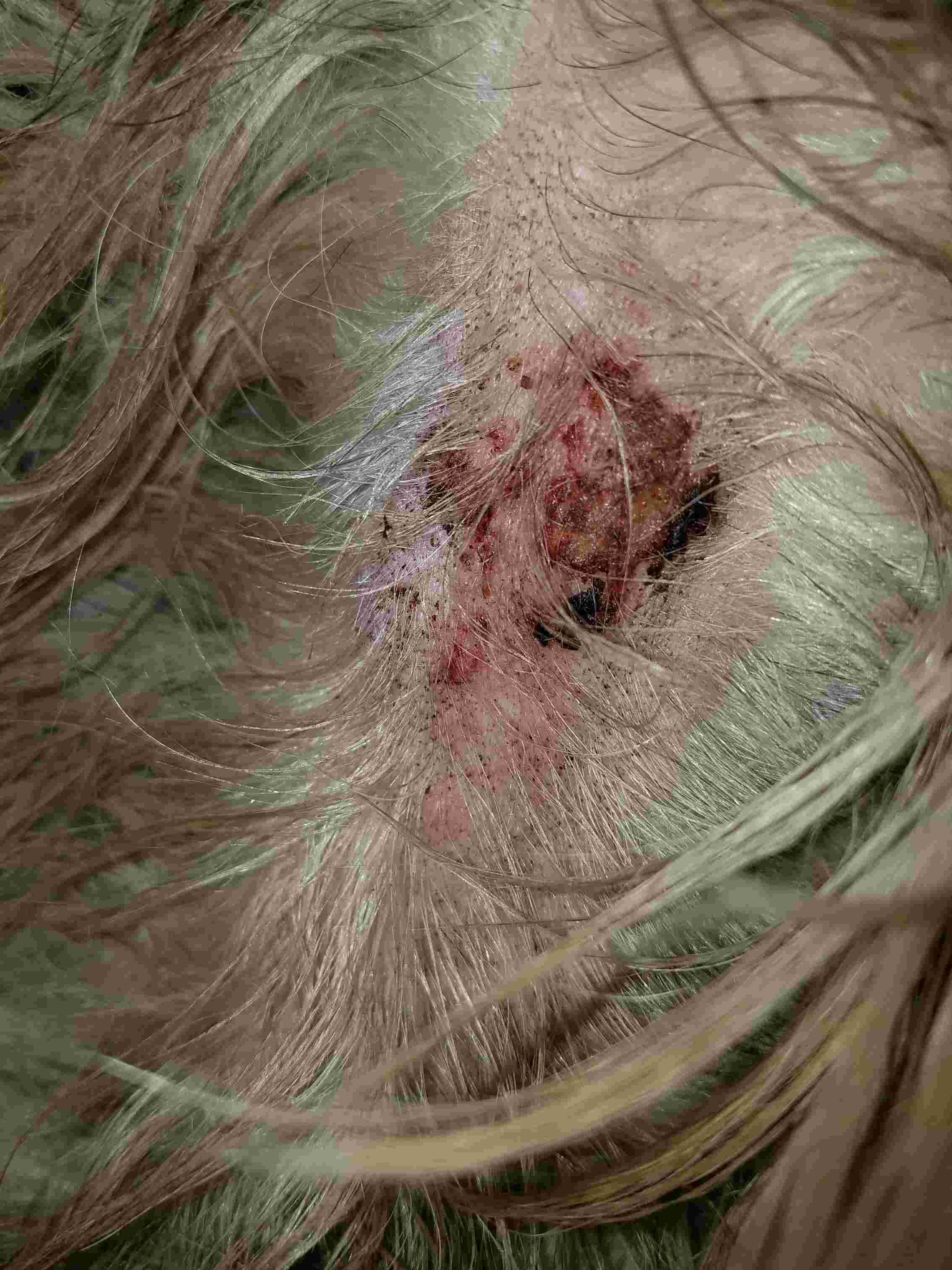 Question details sensitive content