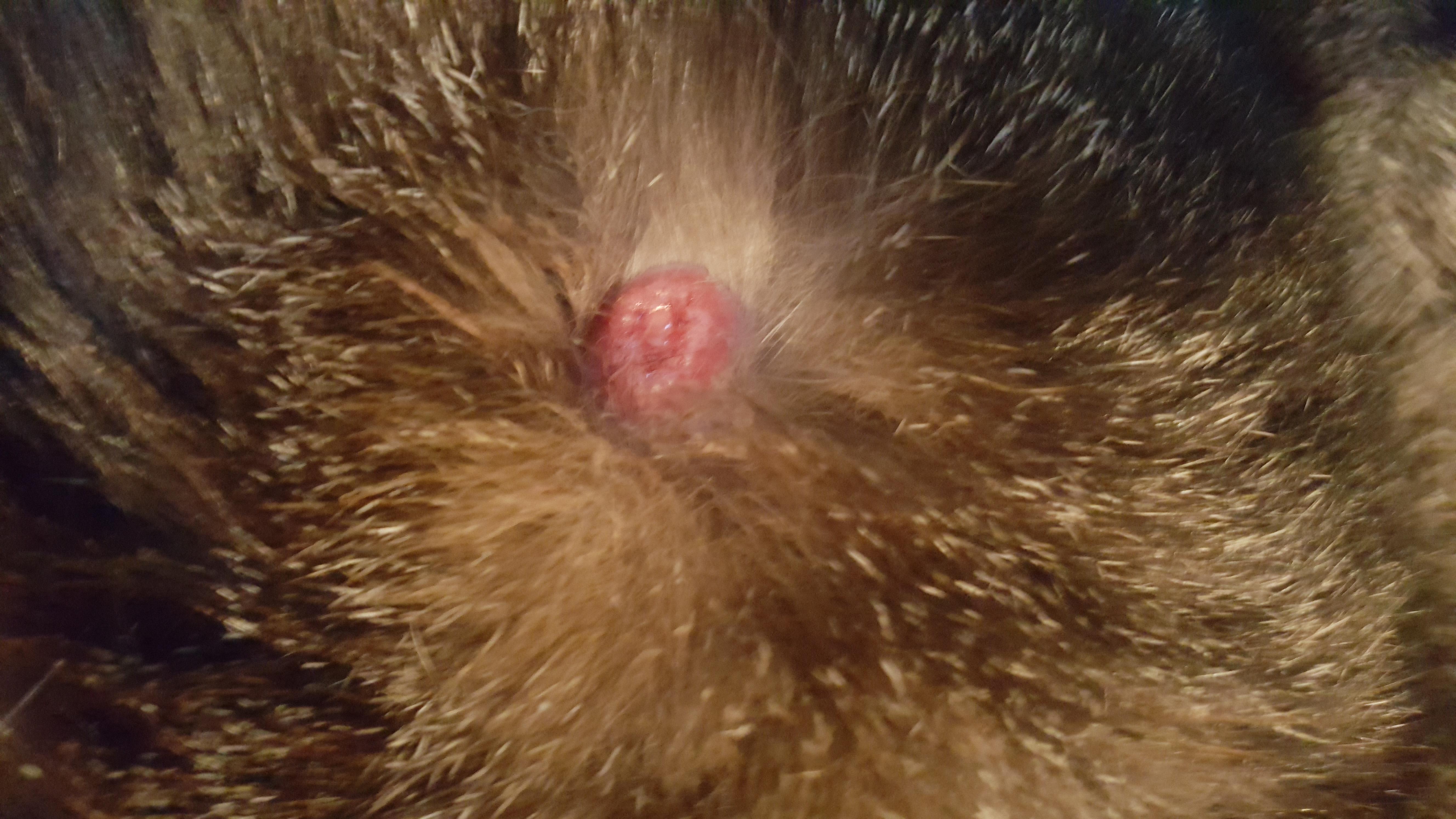 Question details sensitive content