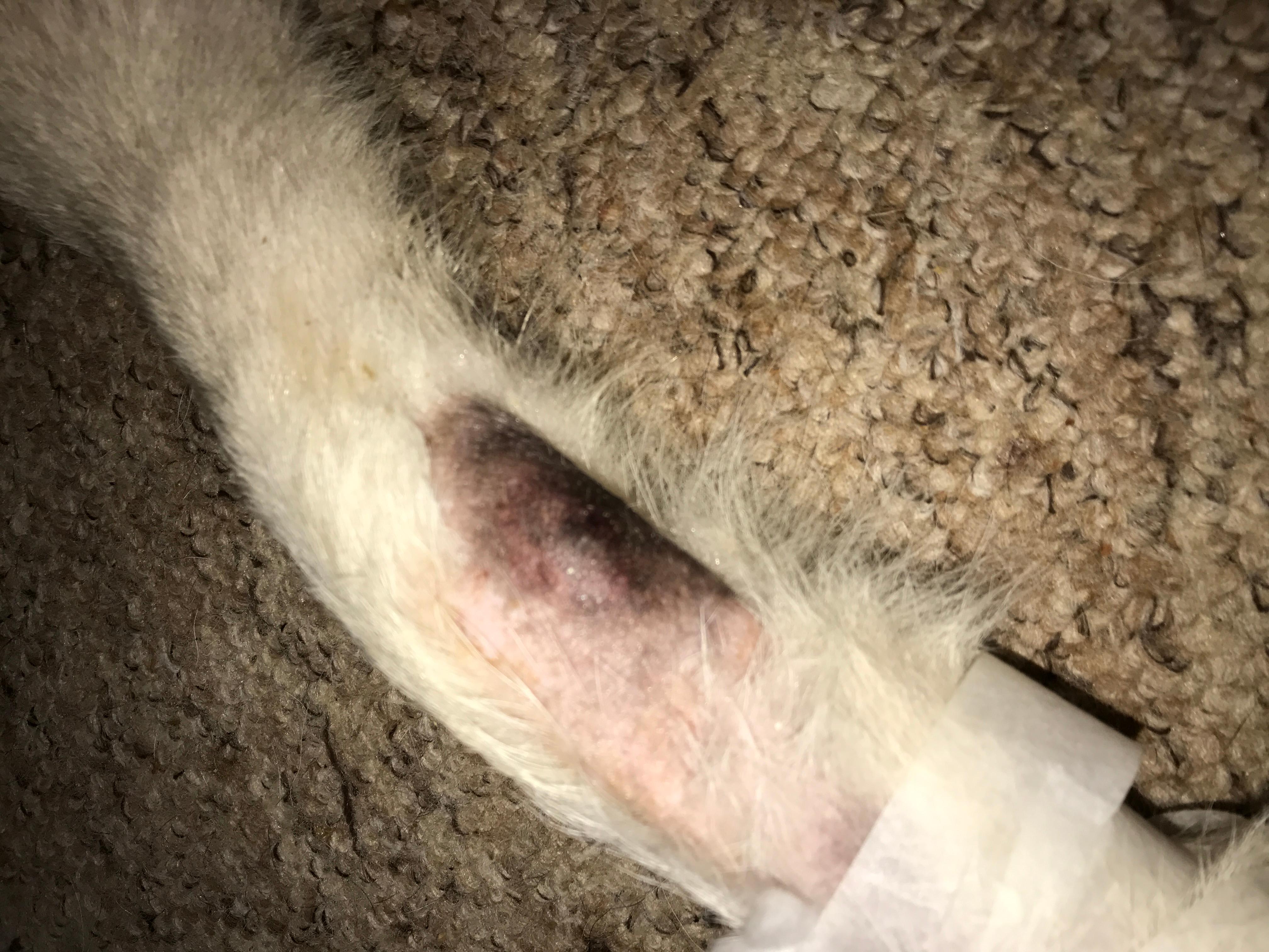 Question details sensitive content