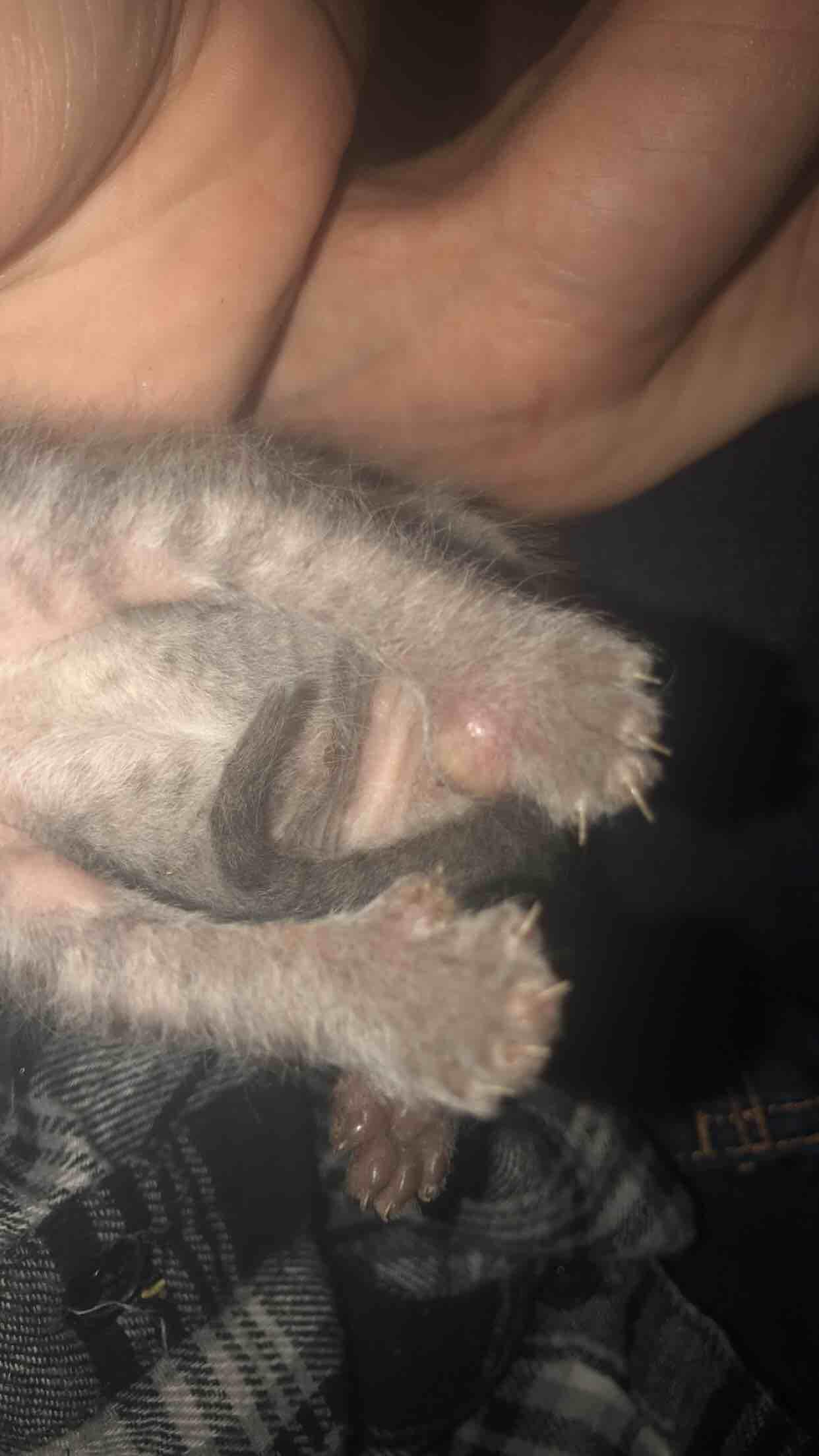 Question details sensitive content