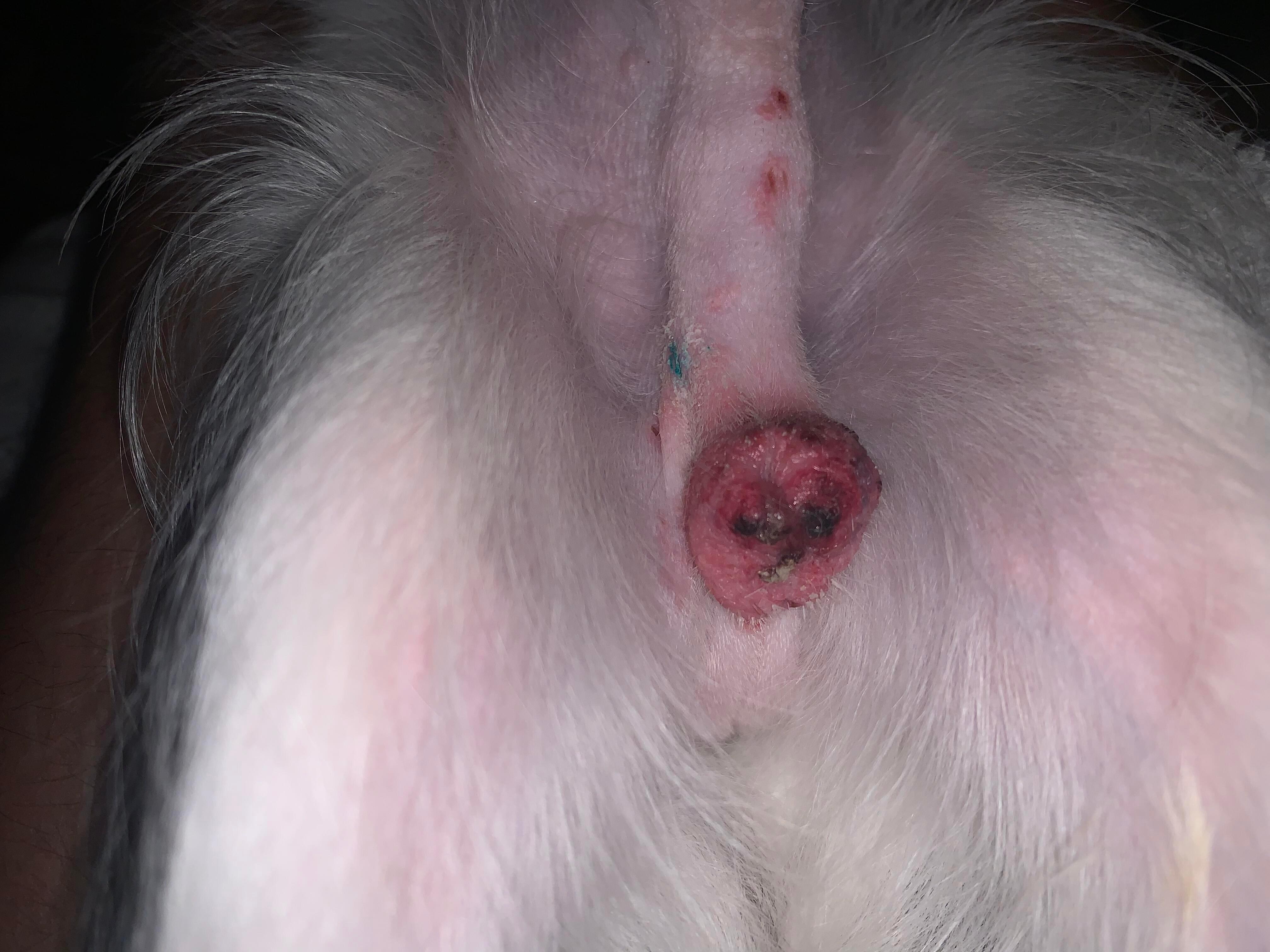 Question details sensitive content