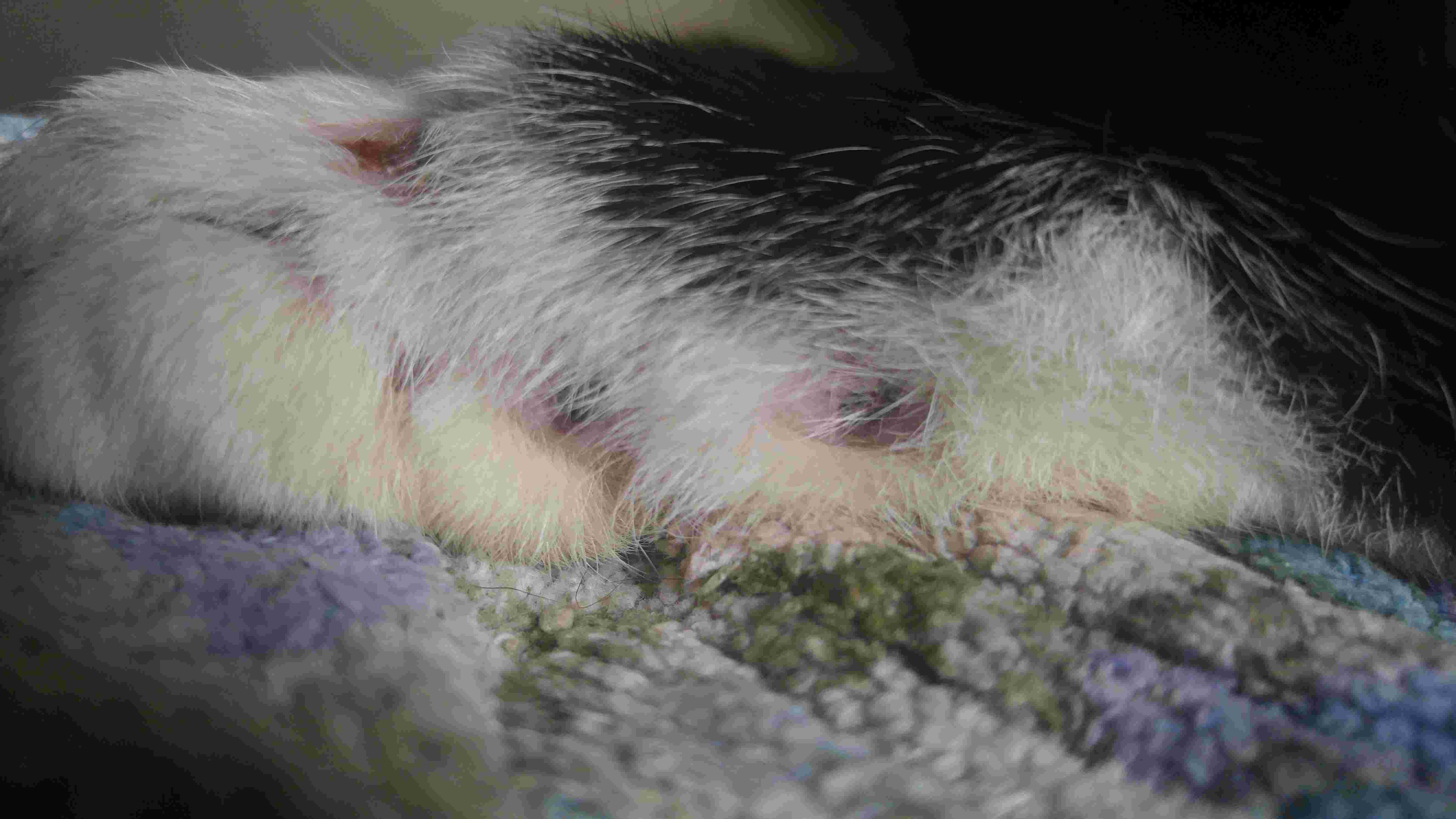 Question details sensitive content