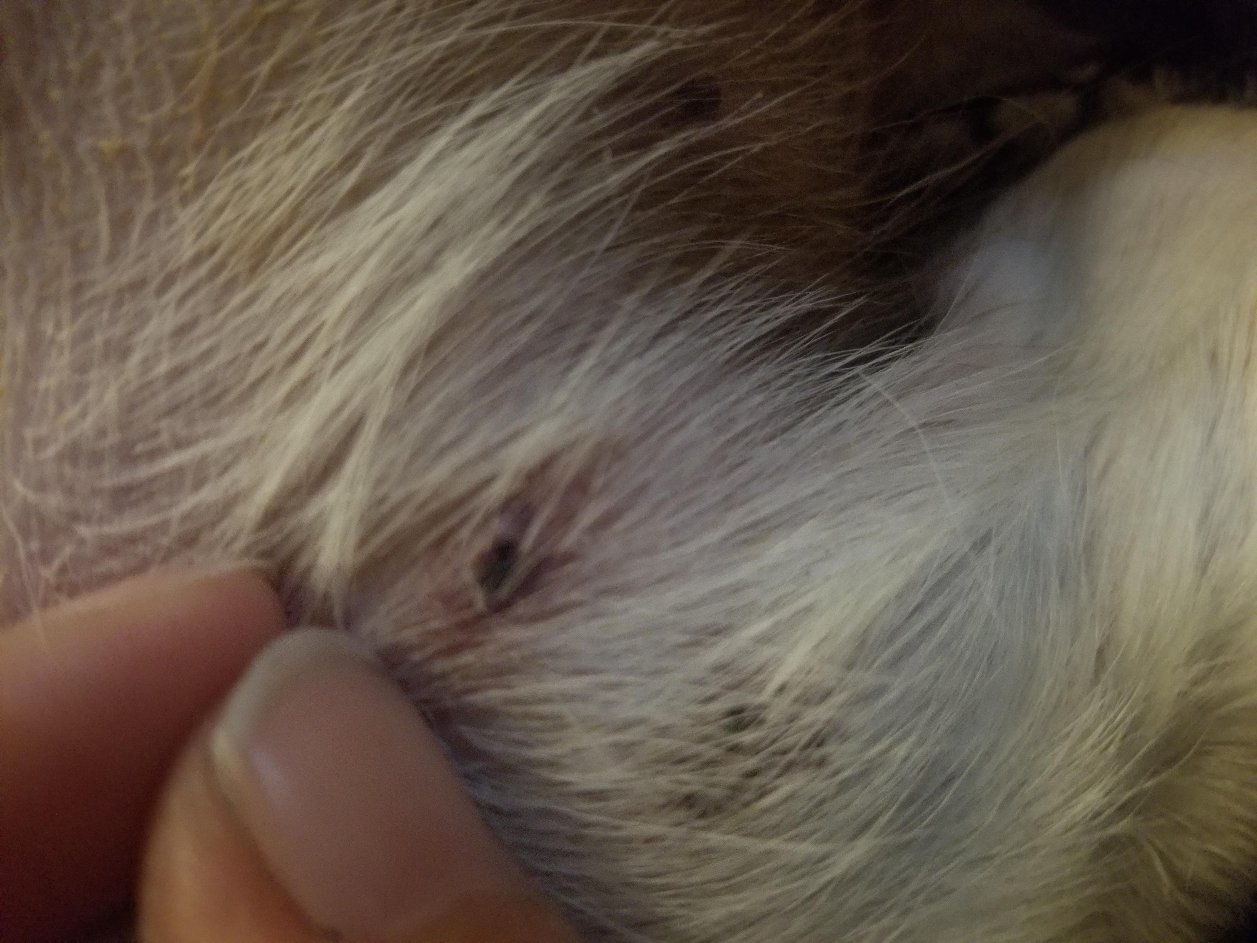 Question details sensitive content