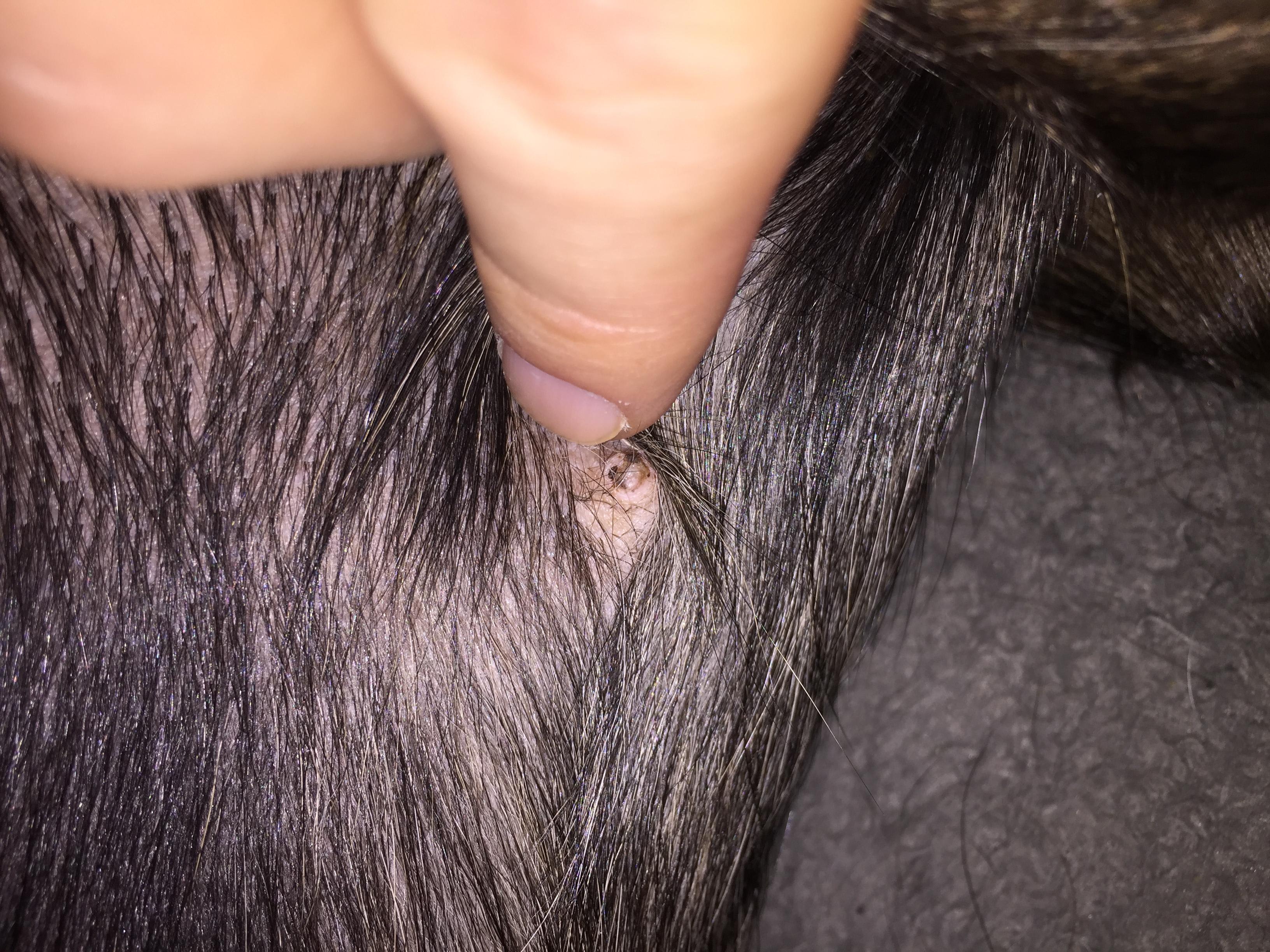 Question details sensitive content