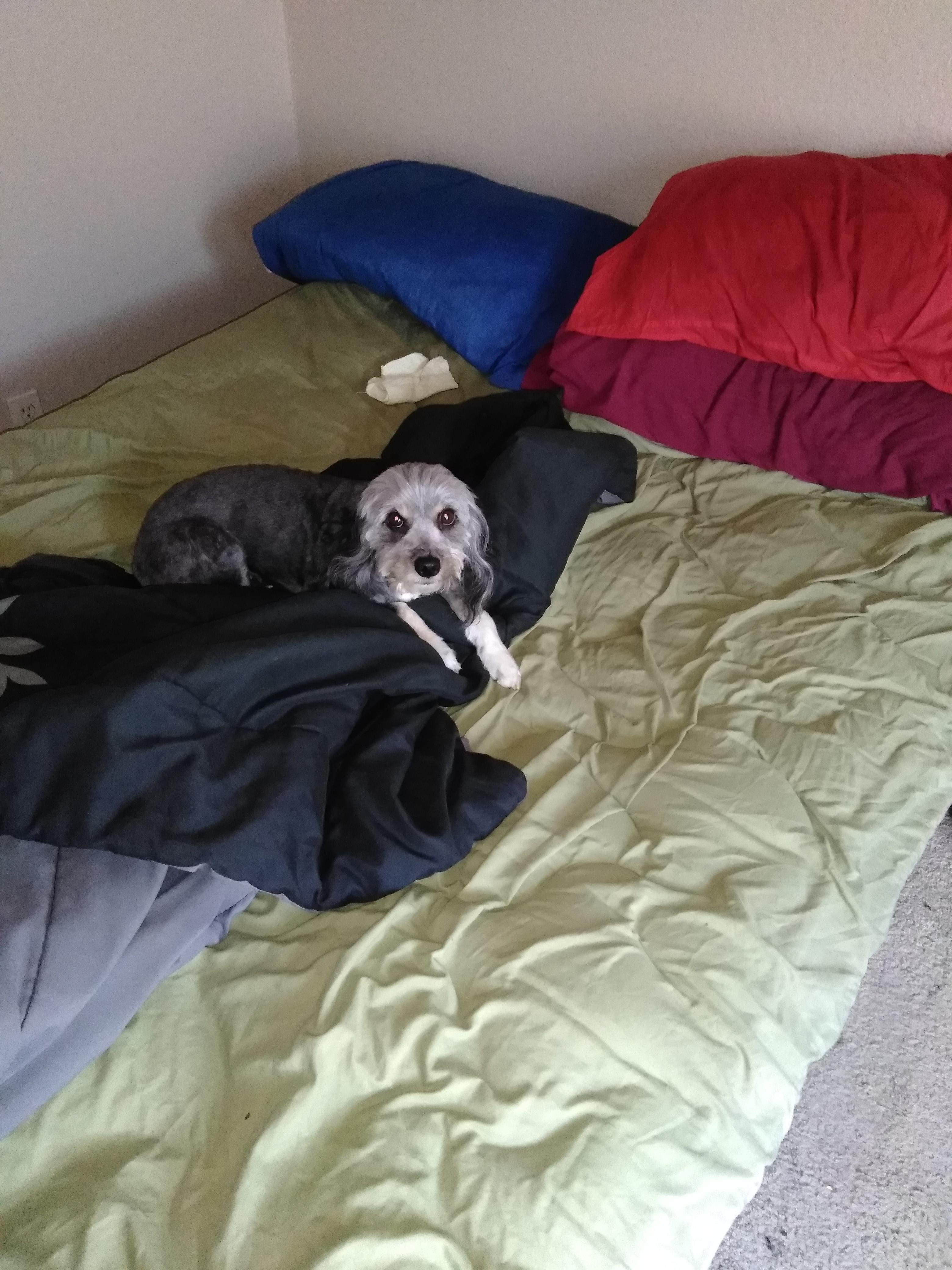 Question details sensitive content