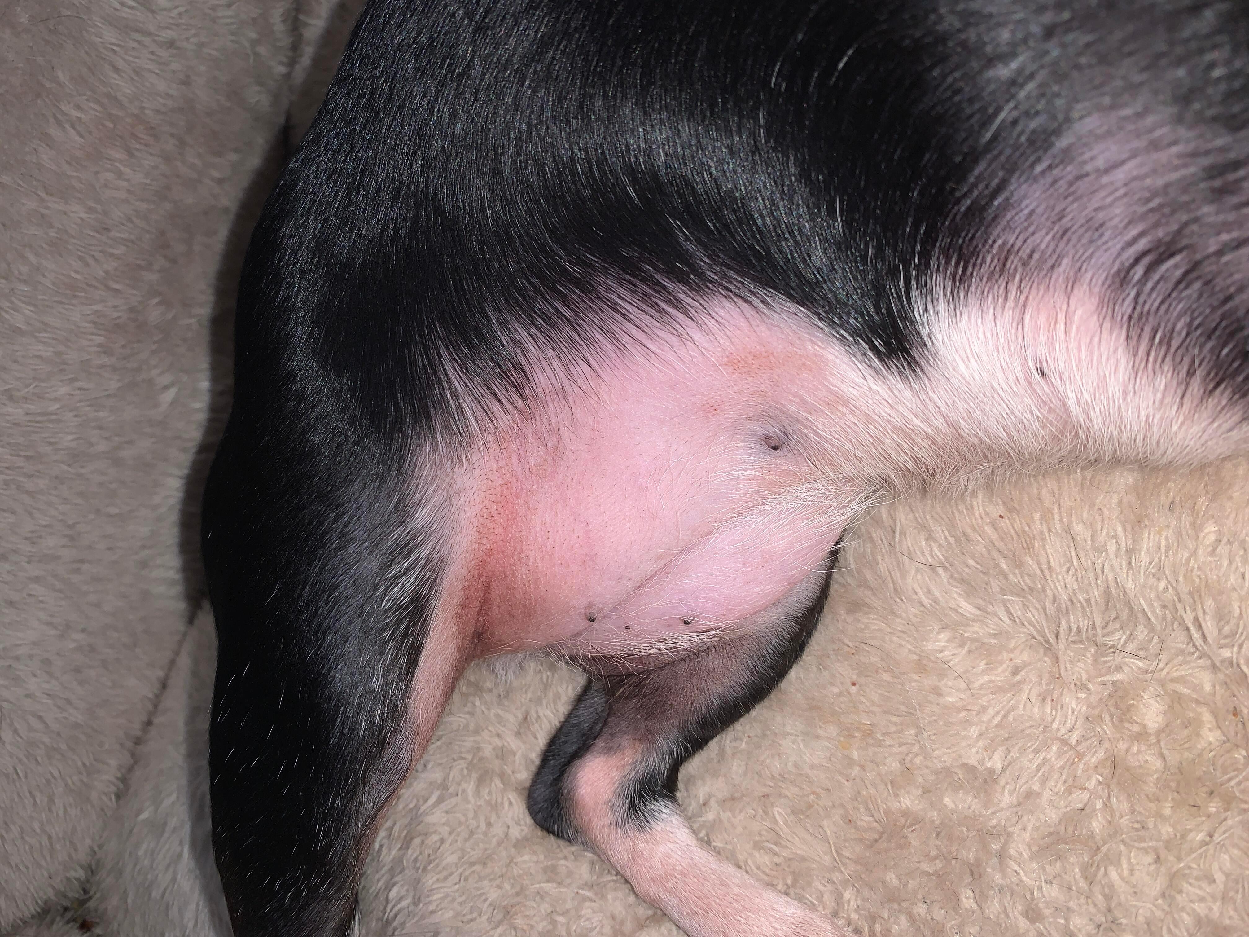 Question details sensitive content