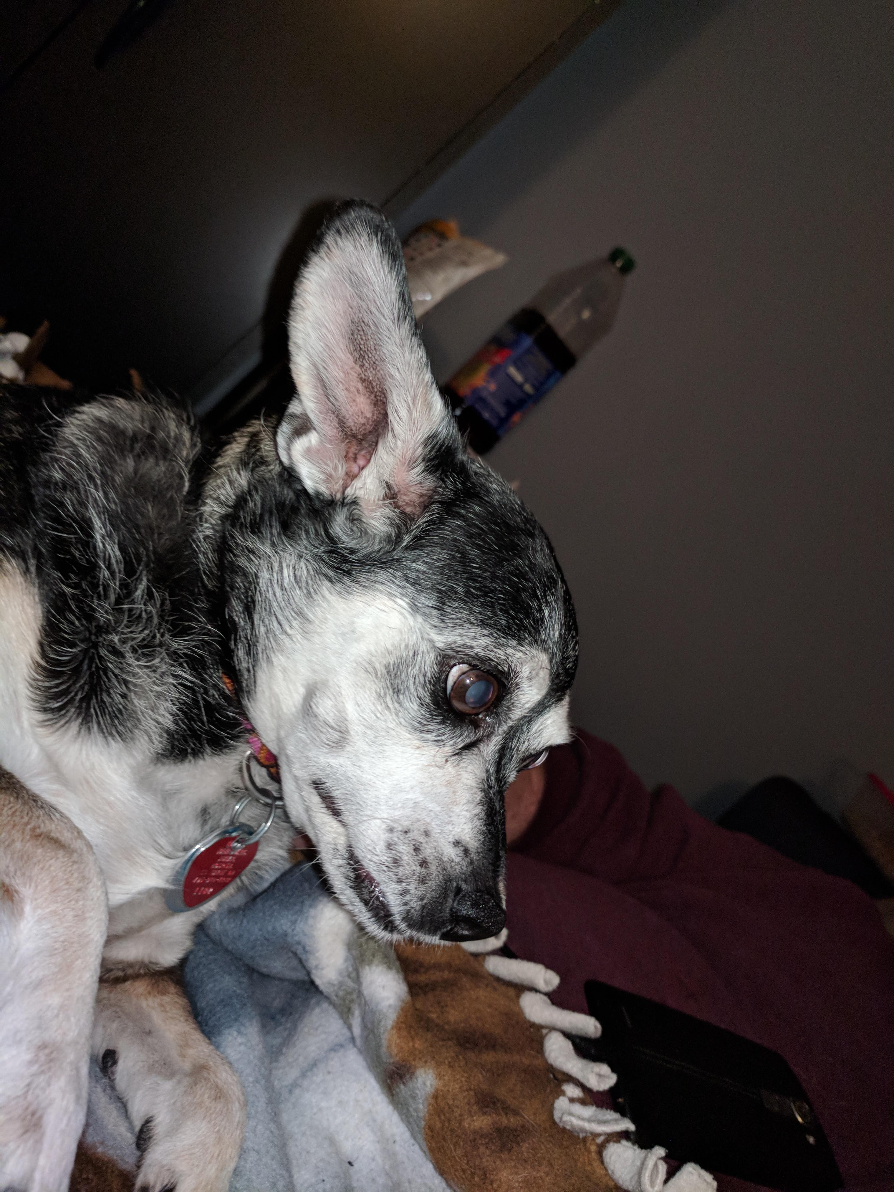 Question details sensitive content