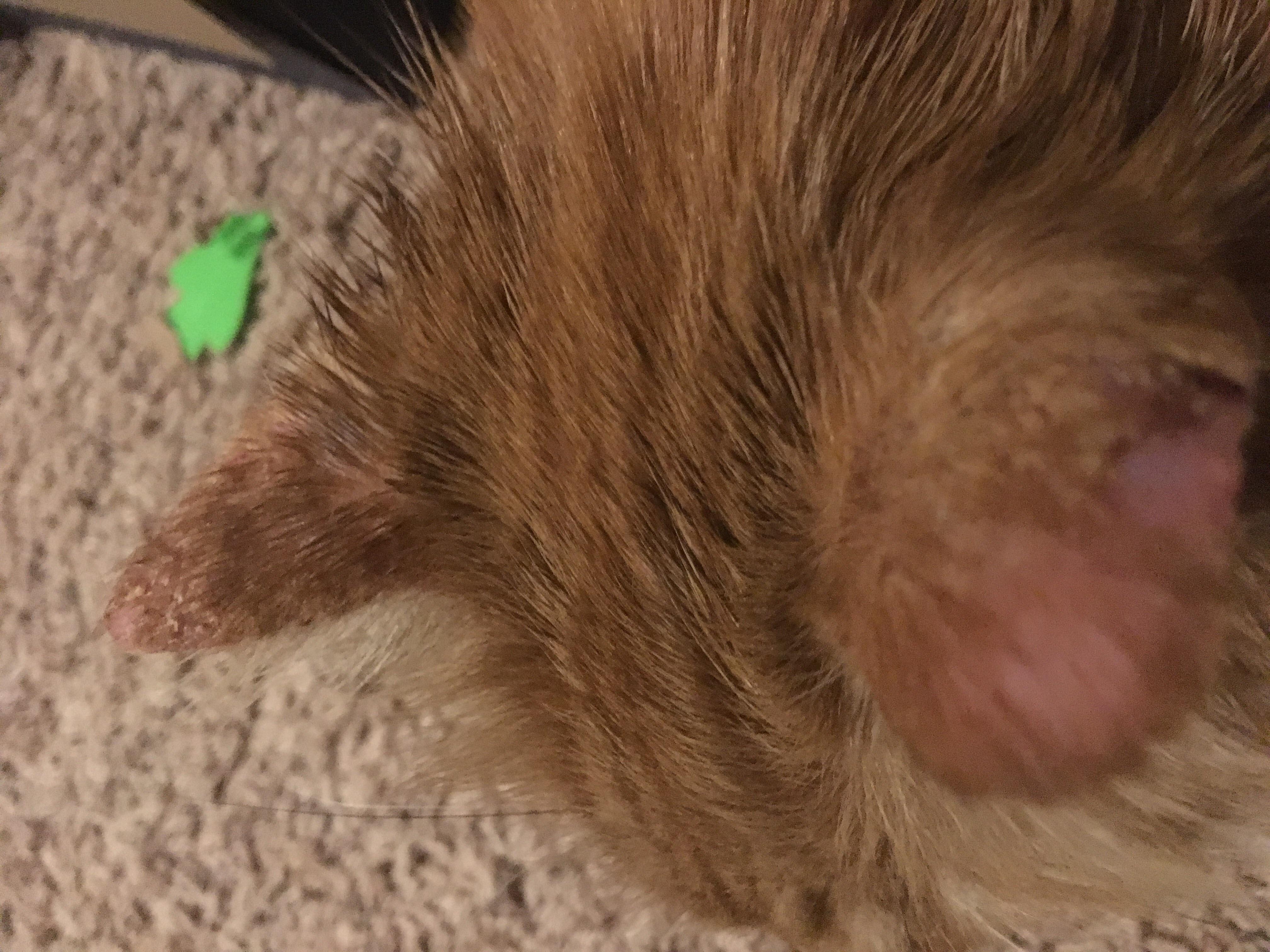 Question details sensitive content