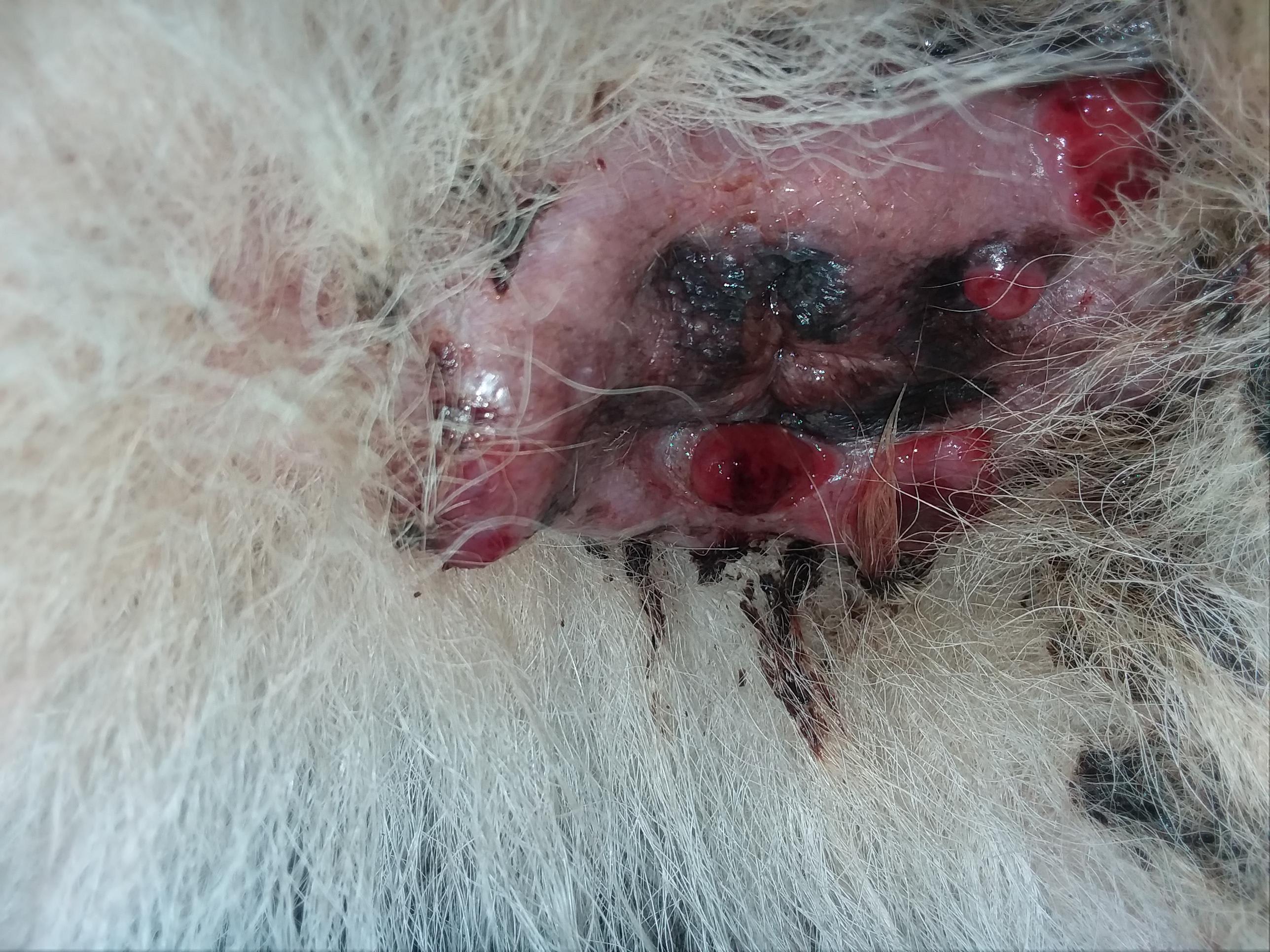 Question details sensitive content