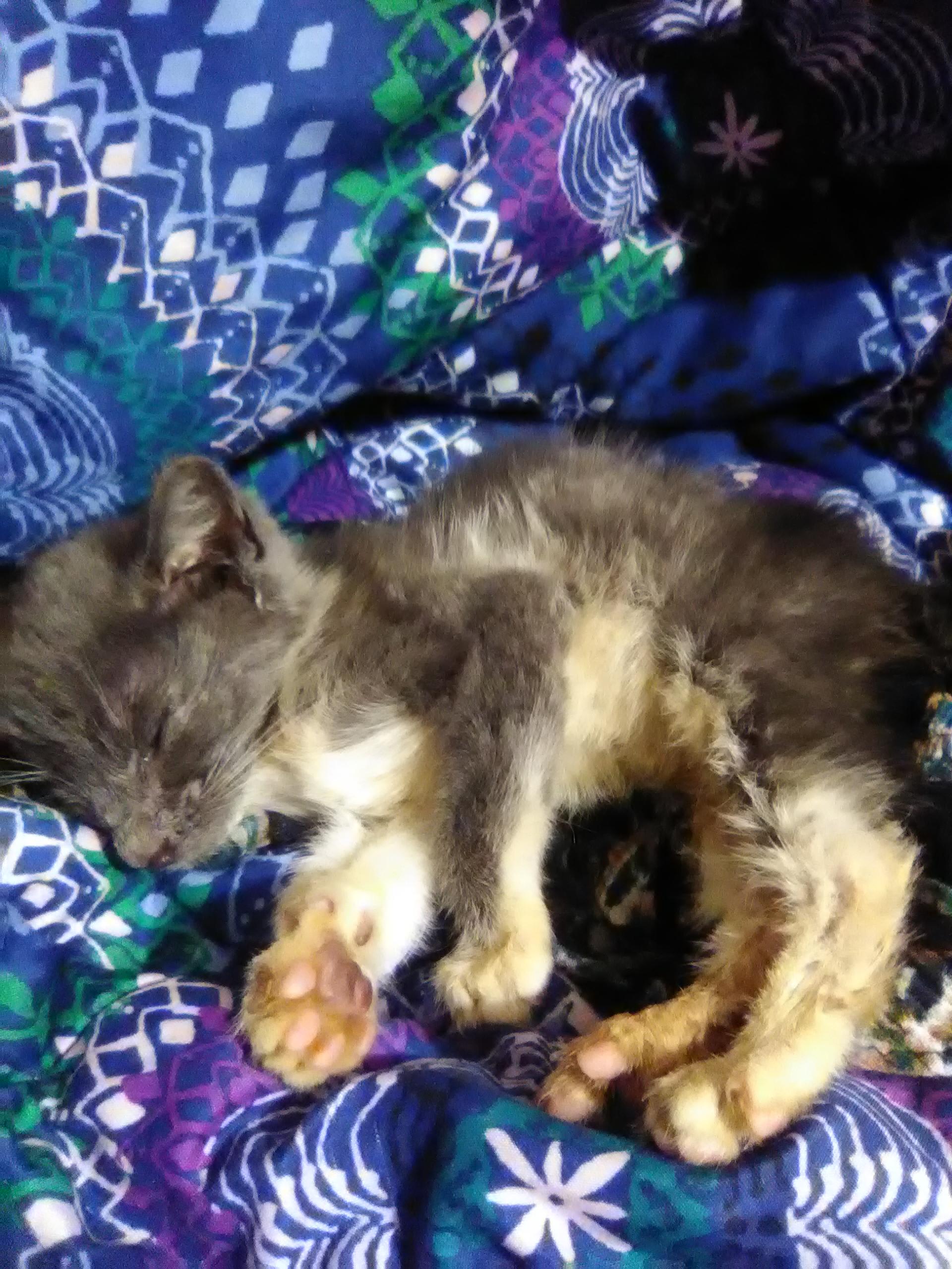 Question details sensitive content