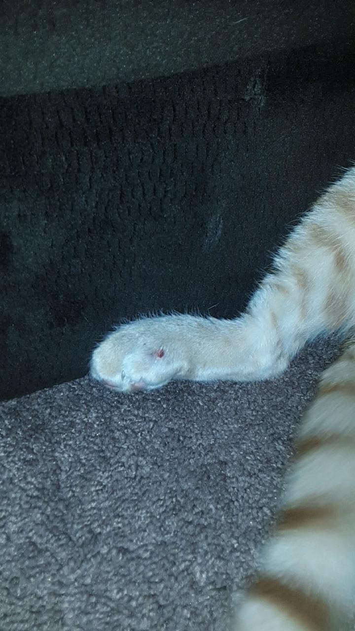 Question details sensitive content