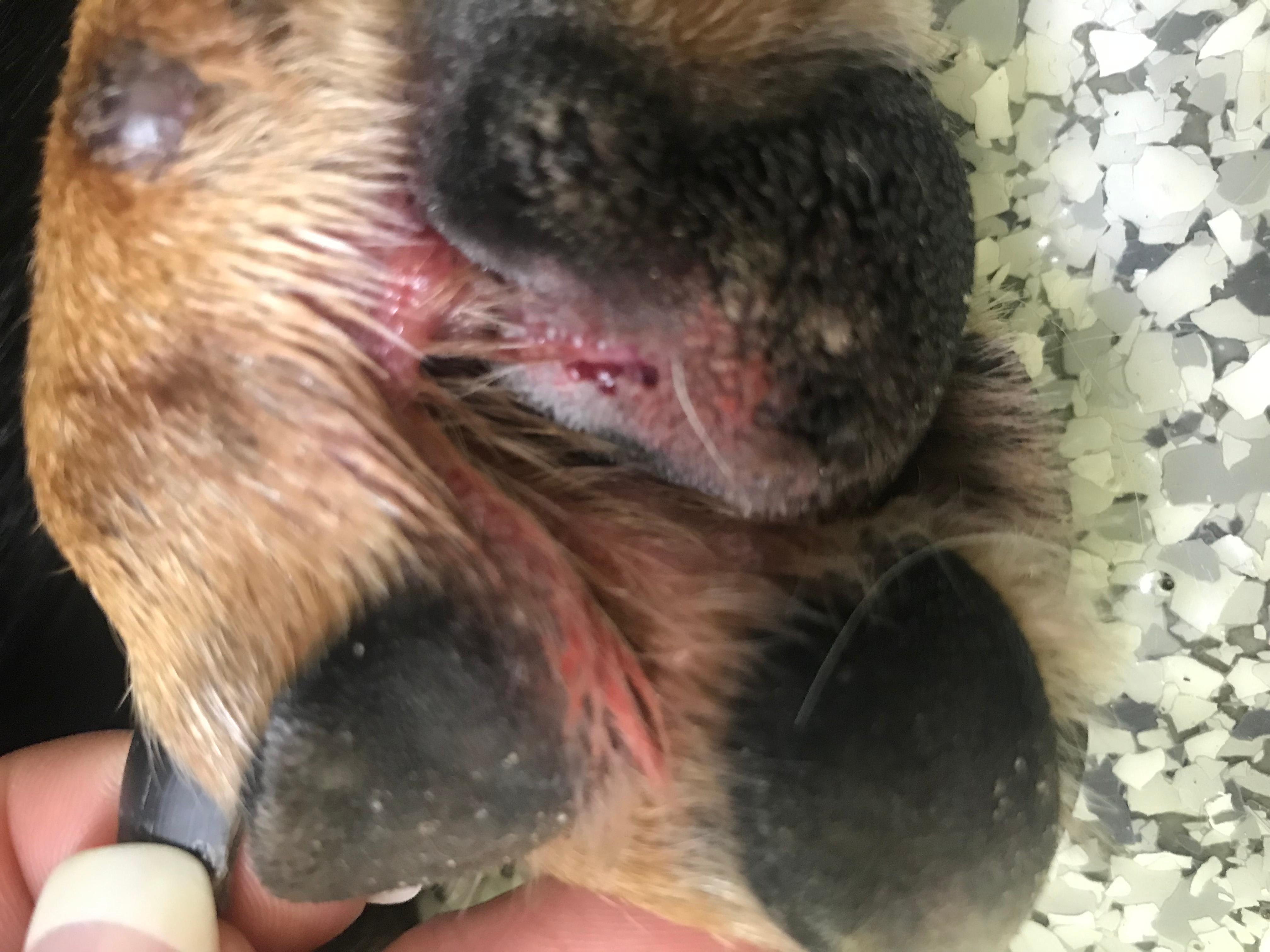 Question details sensitive content