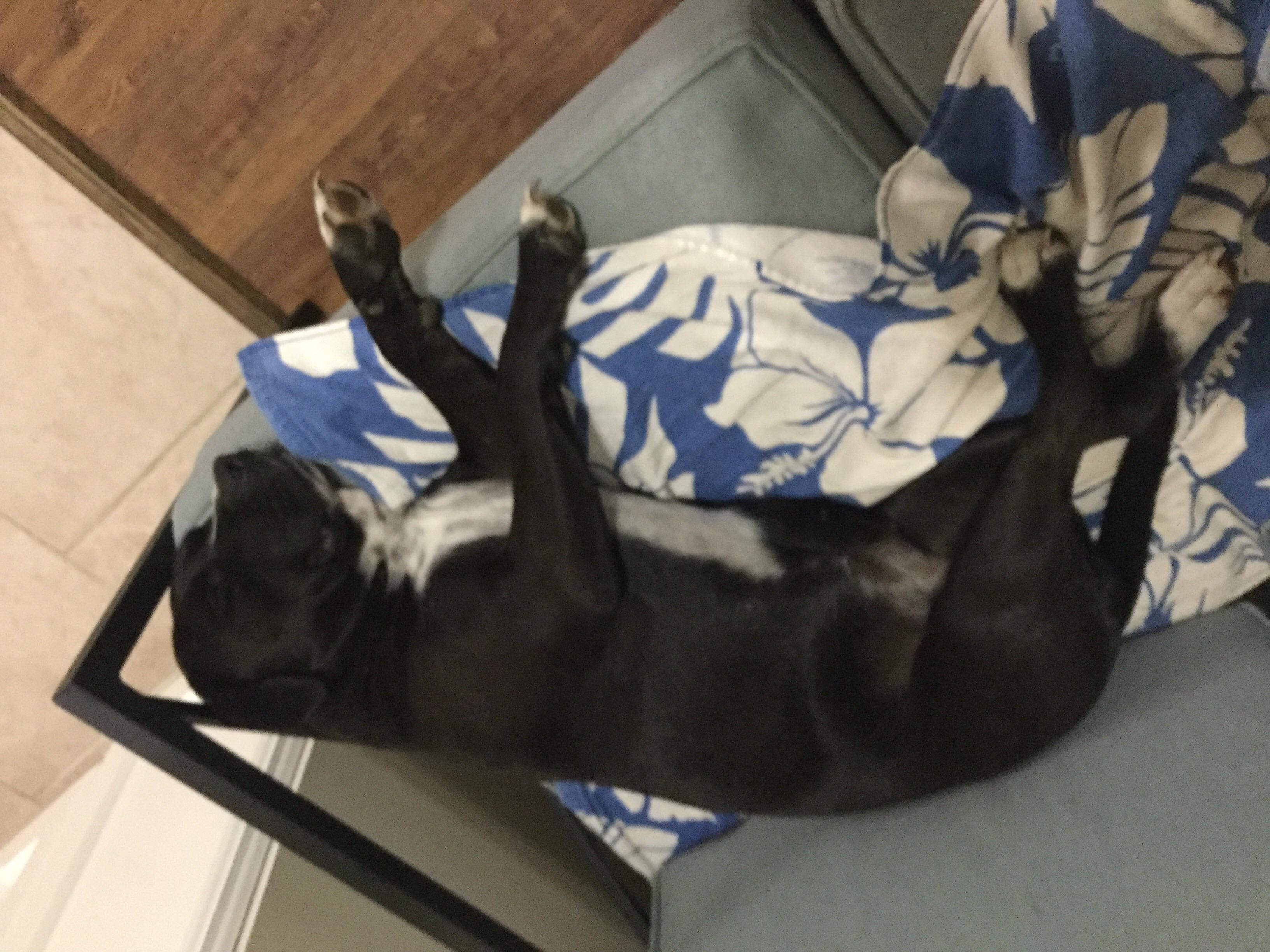 Question details sensitive content