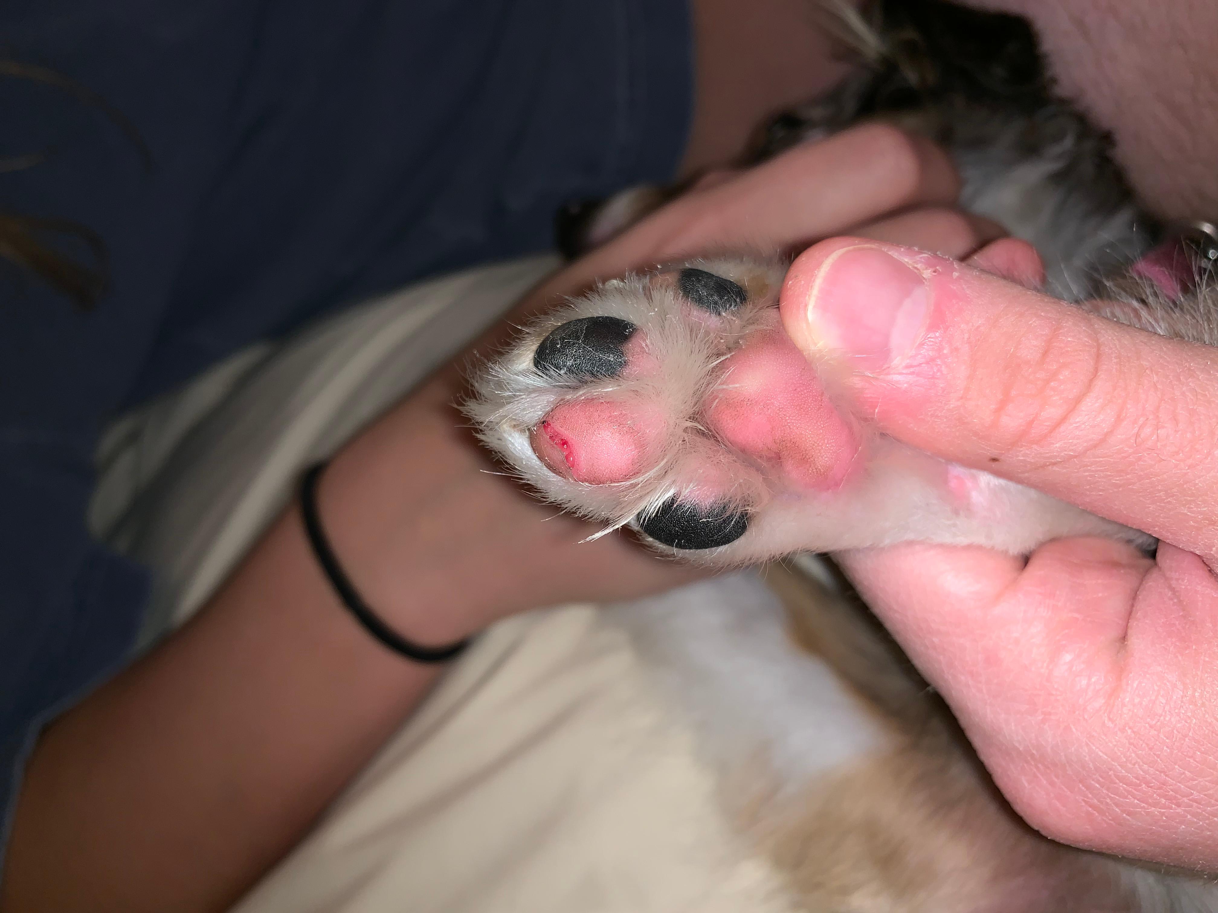 Question details sensitive content