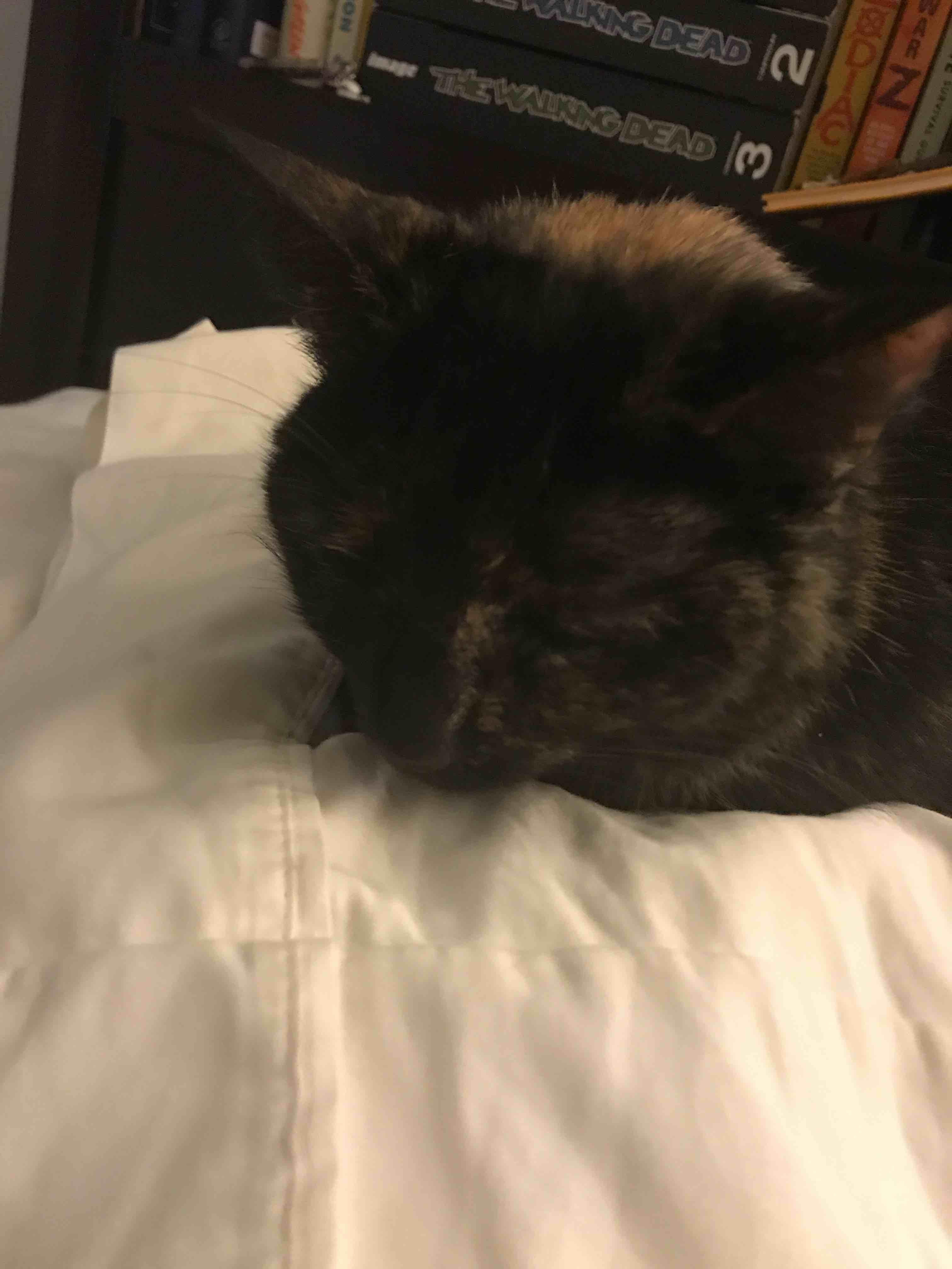 Question details sensitive content