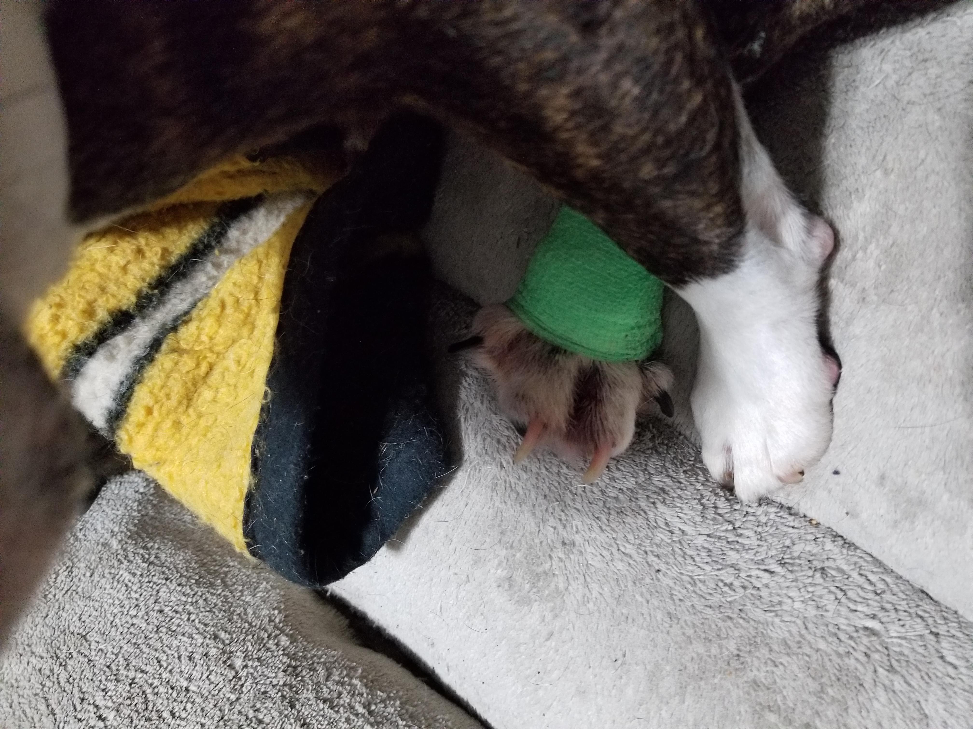 Question details sensitive content