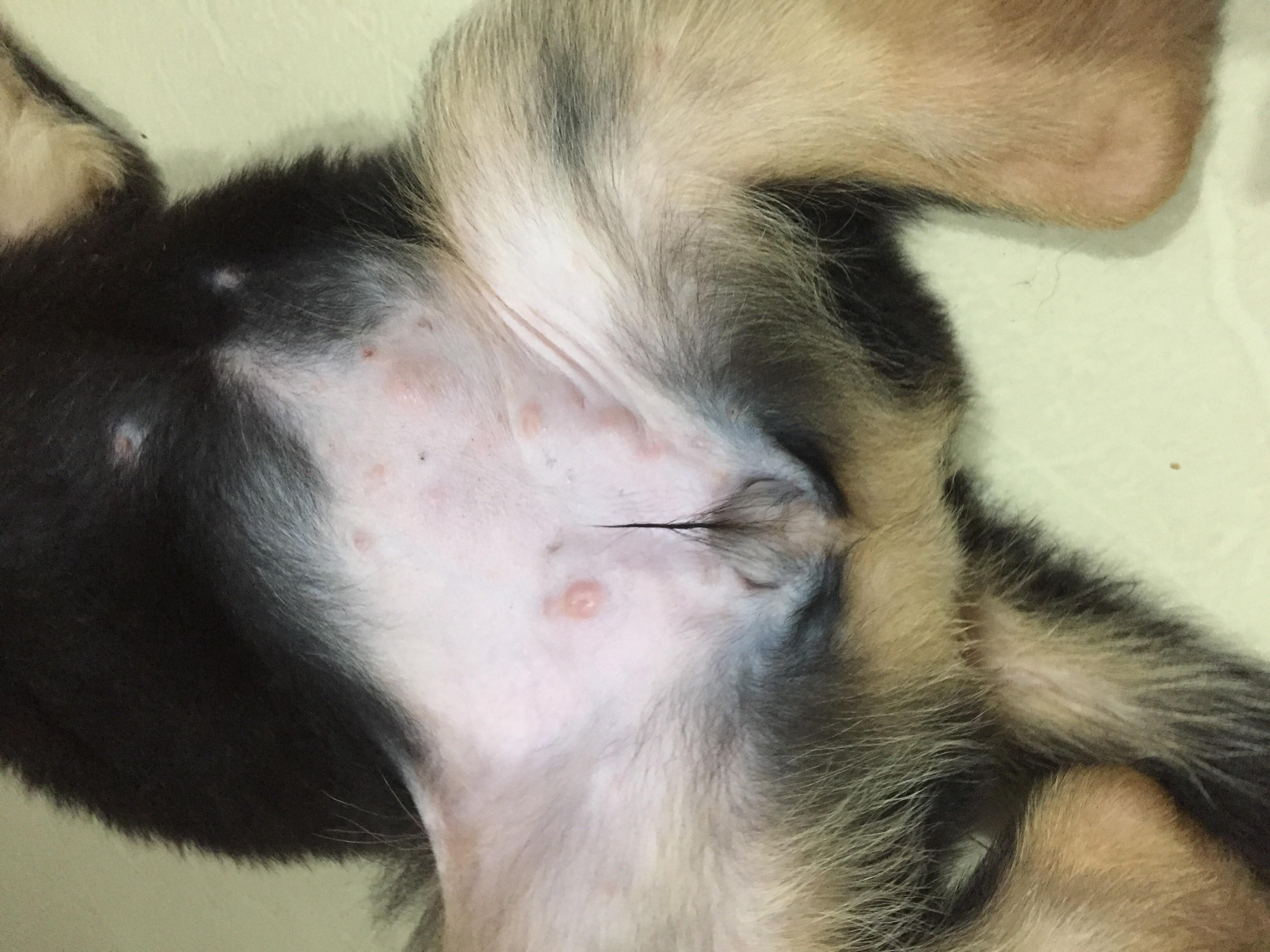 Question details sensitive content