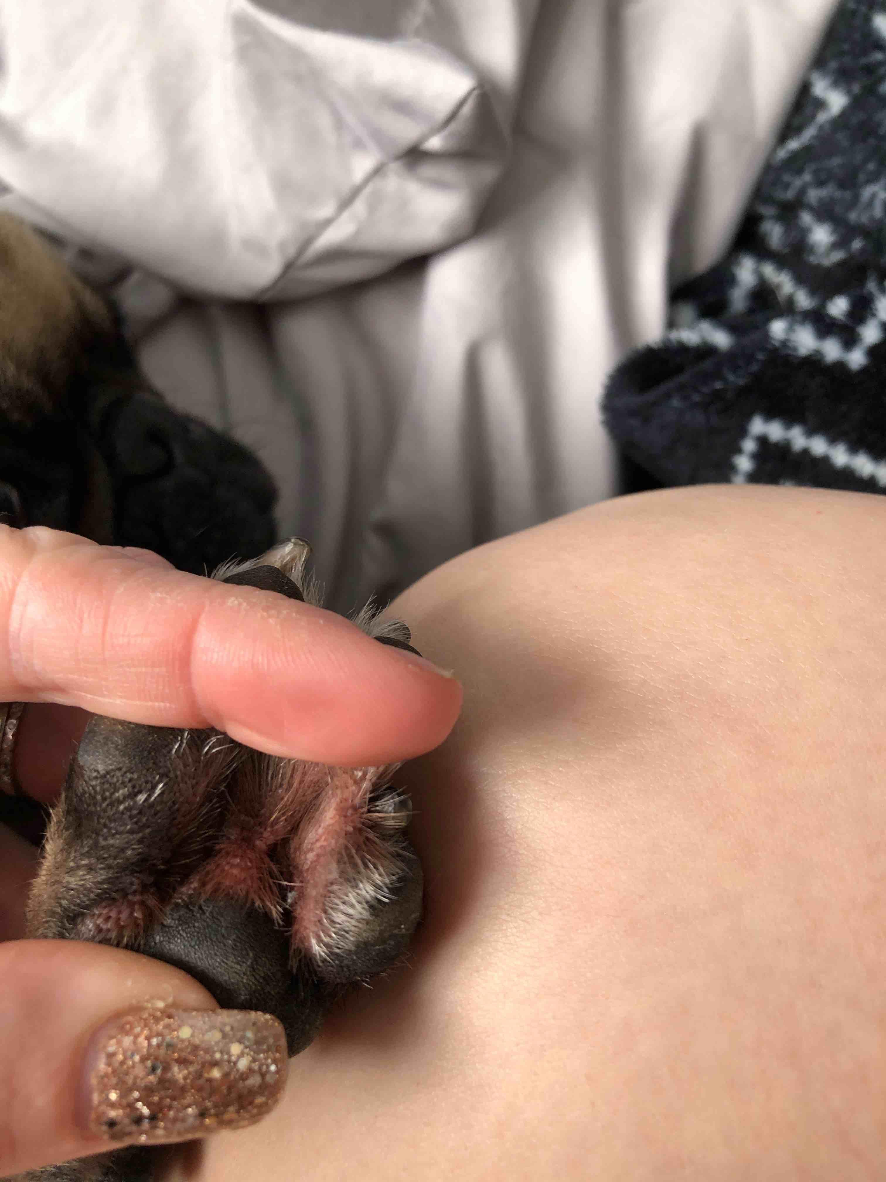 Question details sensitive content