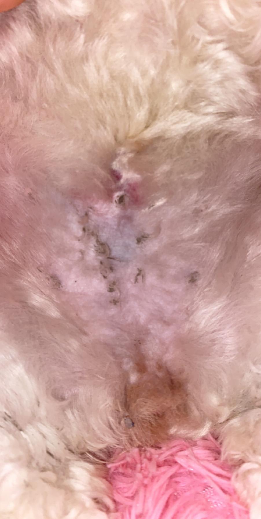 Question details sensitive content