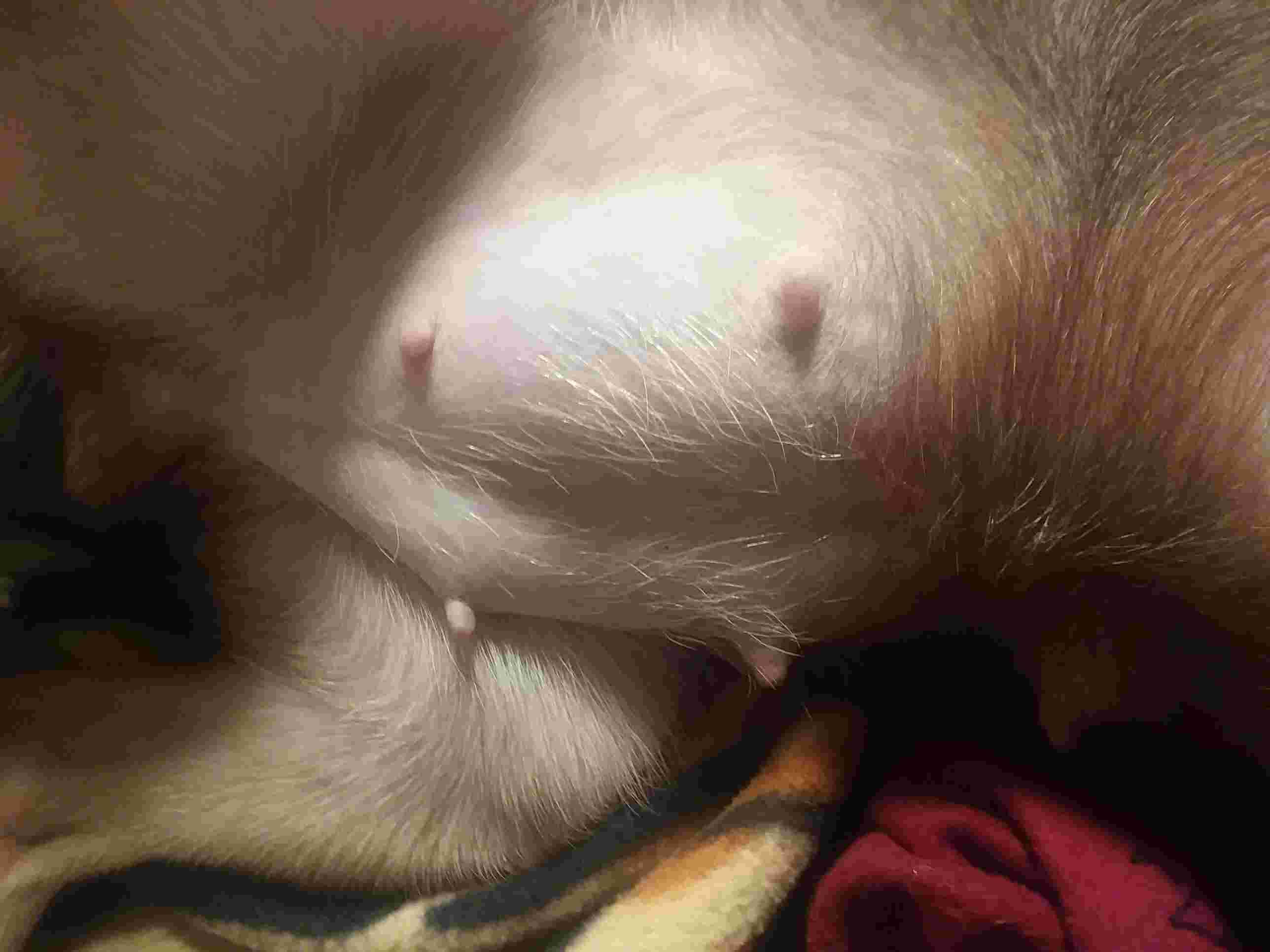 Question details sensitive content