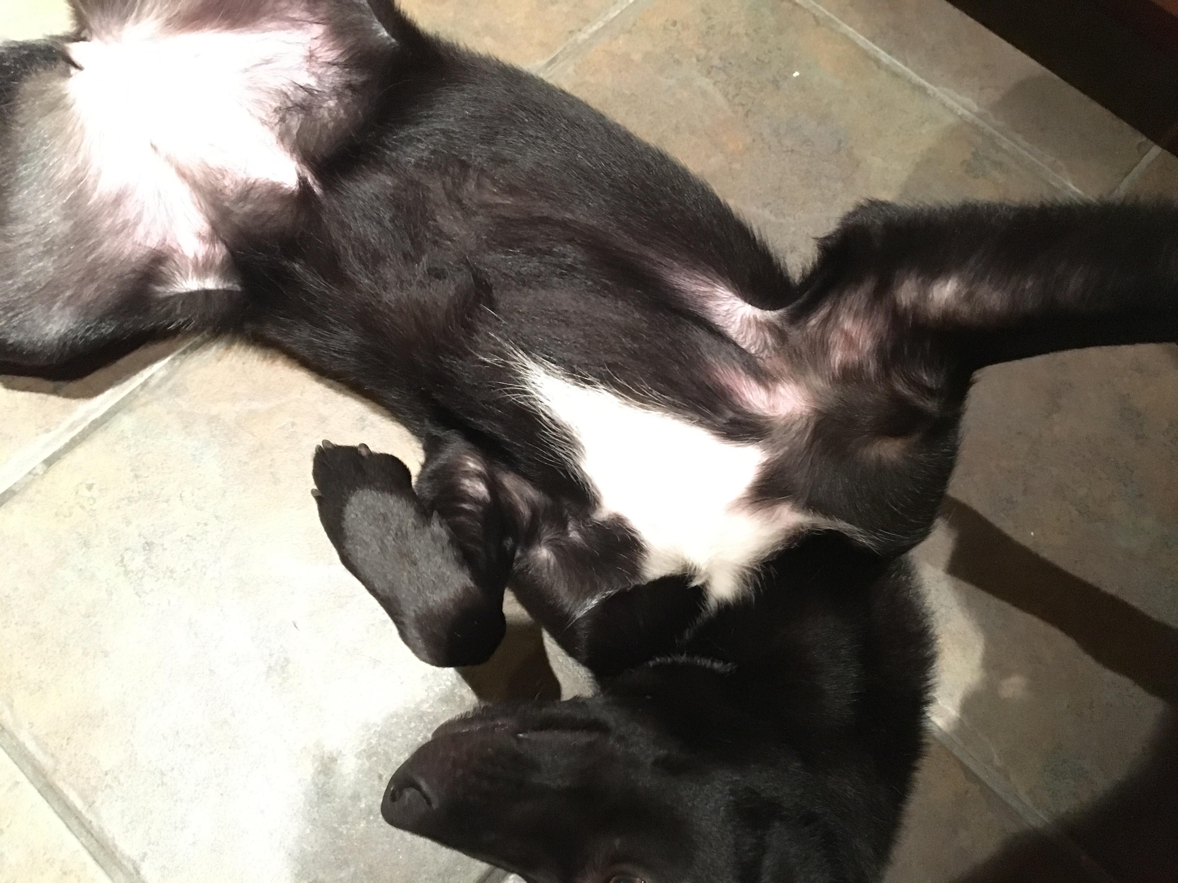 Question details sensitive content