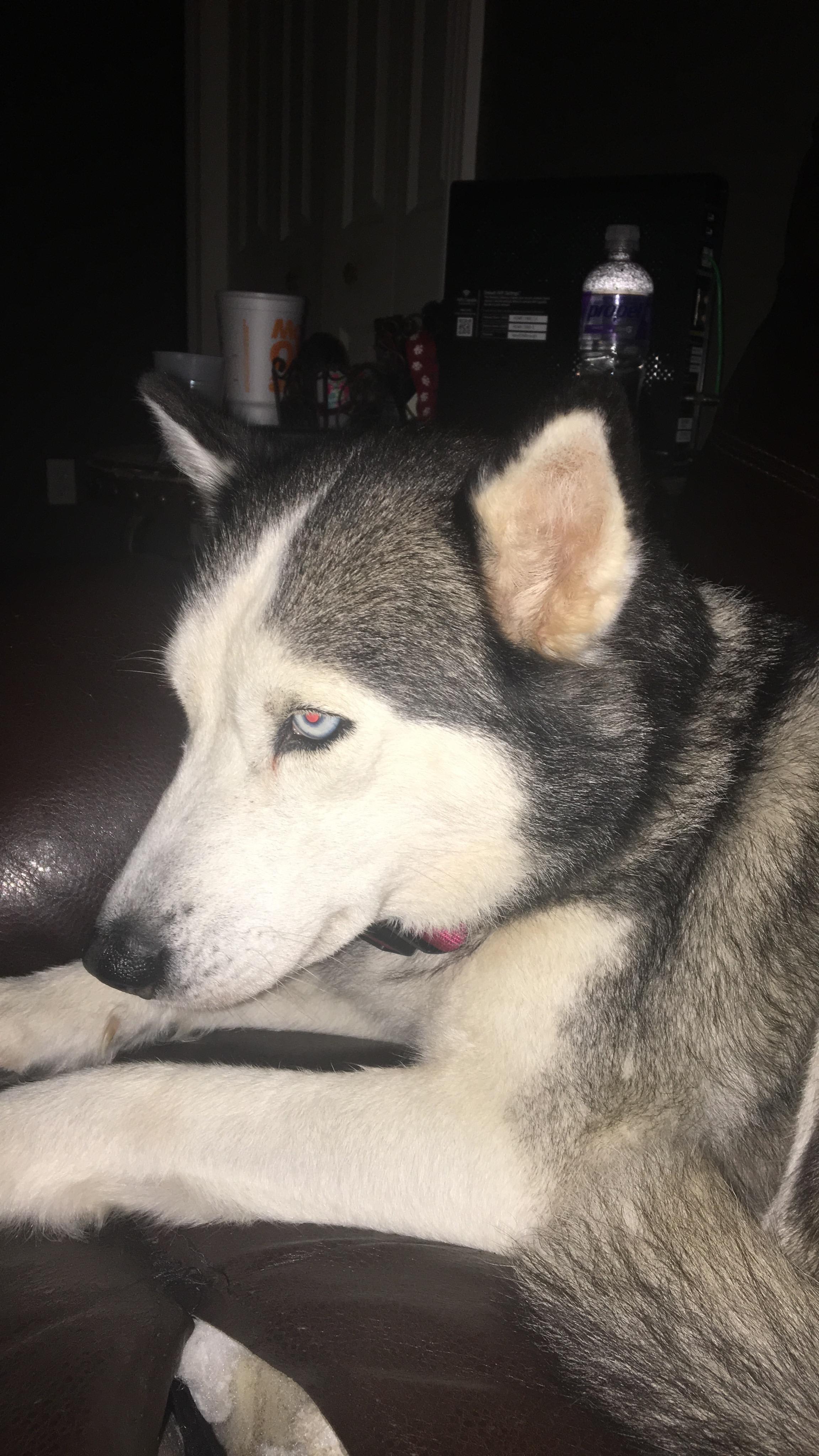 Question details sensitive content