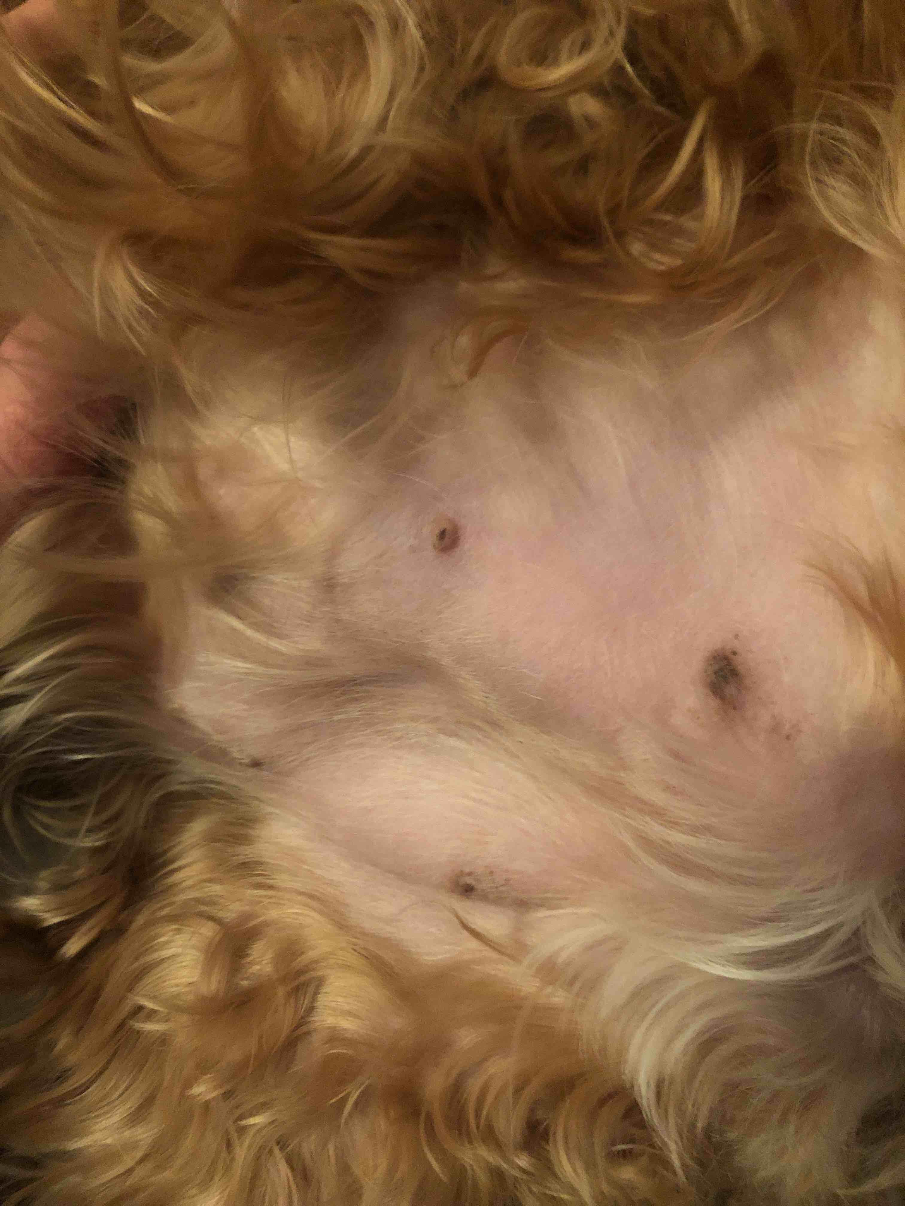 Question details sensitive content