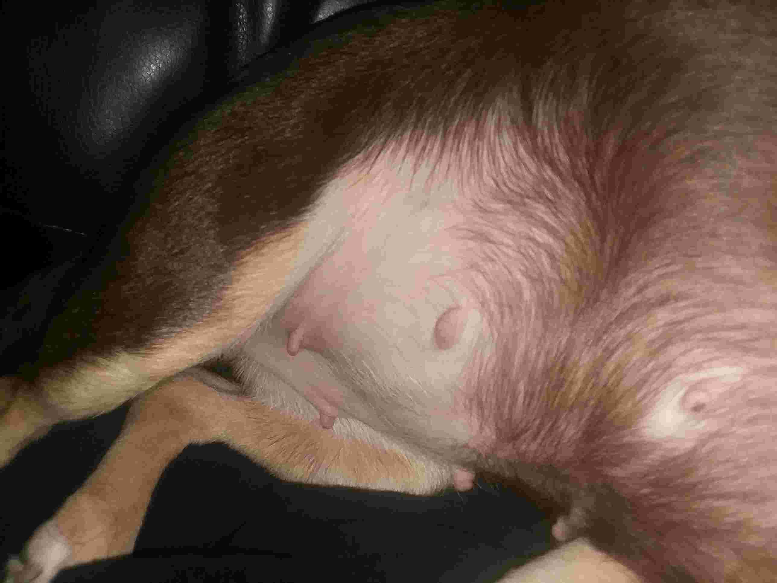 Question details sensitive content