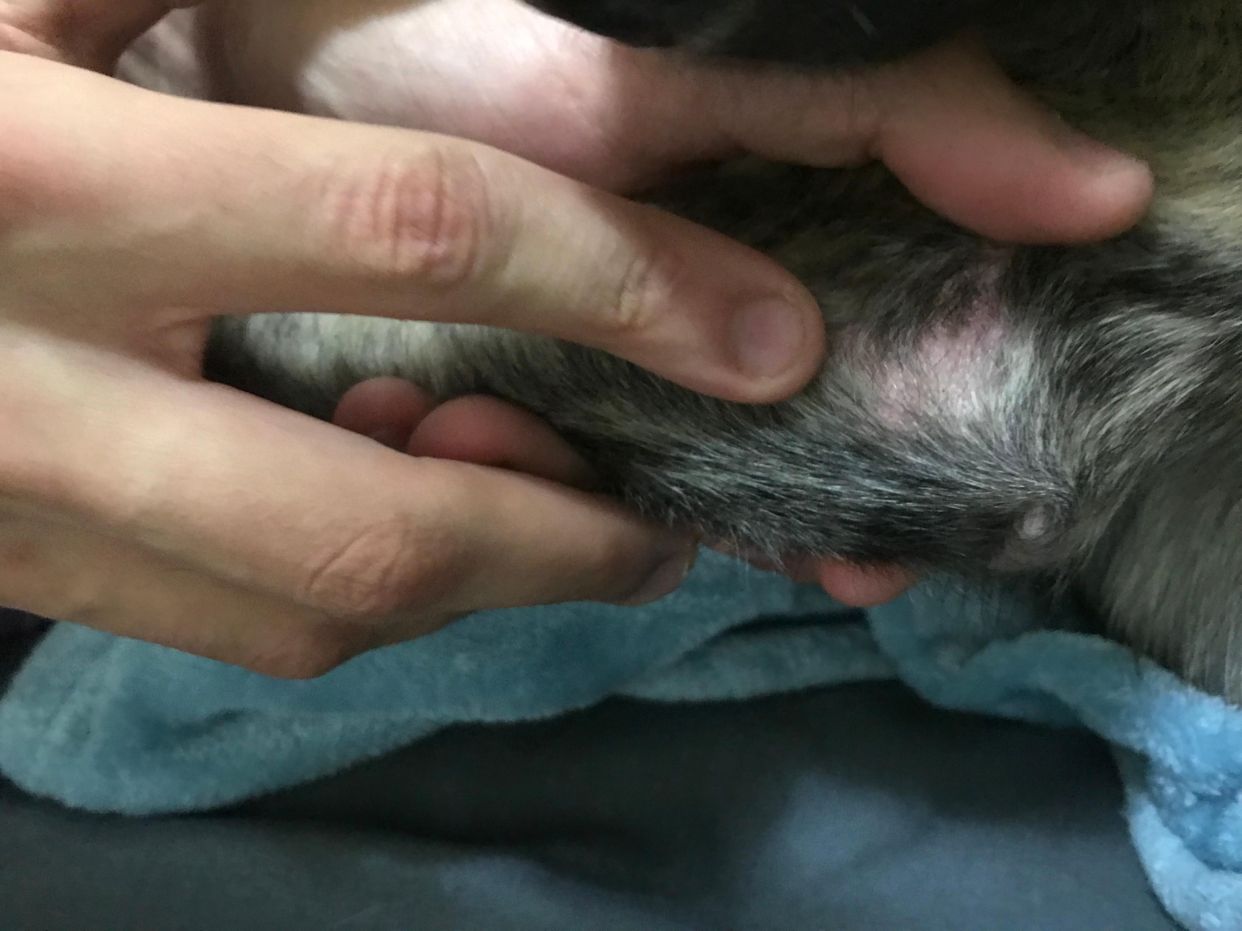 Question details sensitive content