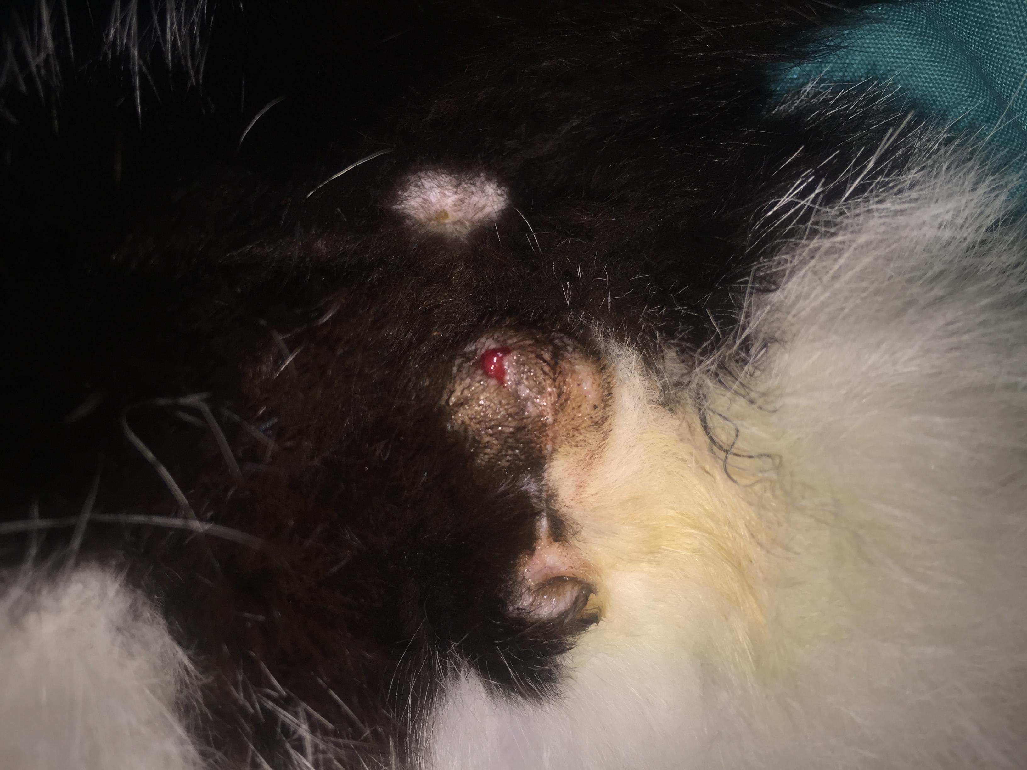 Question details sensitive content